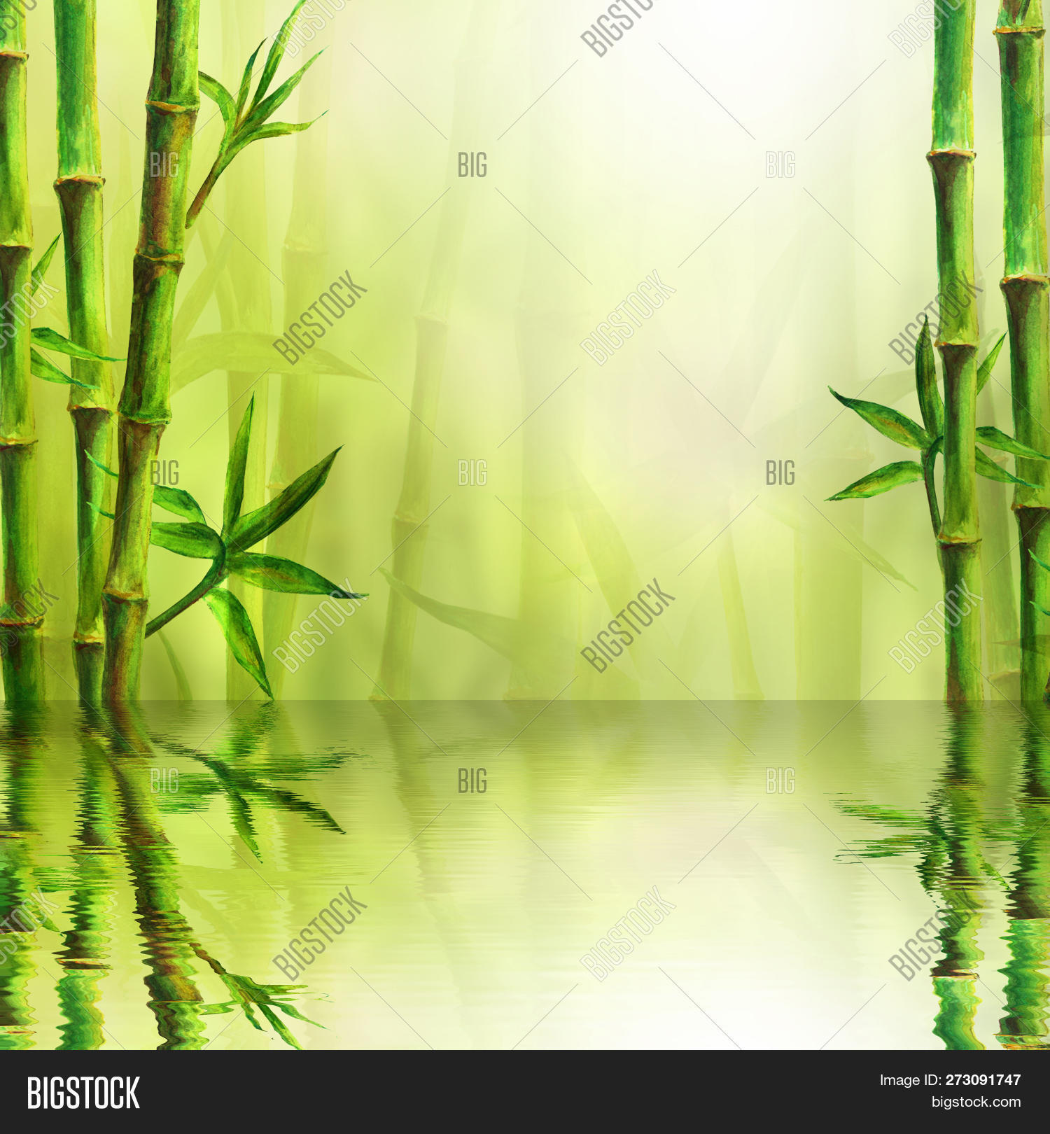 ayurveda,background,balance,bamboo,bokeh,border,care,chinese,concept,copy,design,ecology,fengshui,forest,frame,green,growing,hand,harmony,healthy,japan,japanese,leaf,massage,meditation,natural,nature,pattern,plant,reflection,relax,relaxation,spa,space,spring,summer,sun,template,therapy,treatment,tree,tropical,water,watercolor,watercolour,waves,wellbeing,wellness,zen,zzzakaabafdjcahdhagb