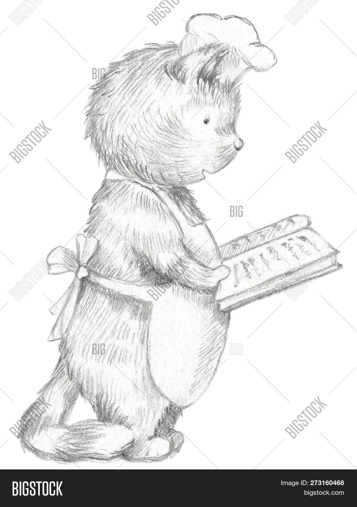 animal,apron,bakery,book,cake,cap,cartoon,cat,character,confectioner,confectionery,cook,cookbook,cookery,cooking,cute,dessert,domestic,dough,drawing,food,fun,graphic,gray,hand,happy,hat,illustration,ingredient,isolated,kitchen,kitchenware,kitten,lead,pencil,personage,pet,professional,read,recipe,restaurant,sample,sketch,smile,study,uniform,white