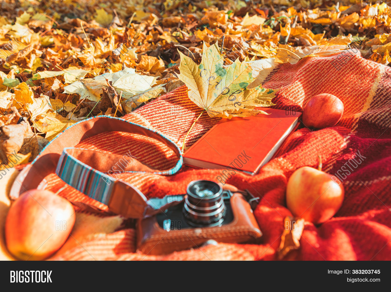 camera, 																					book, 																					blanket, 																					yellow, 																					leaf, 																					travel, 																					tourism, 																					vacation, 																					holidays, 																					autumn, 																					romantic, 																					nature, 																					lifestyle, 																					objects, 																					stuff, 																					orange, 																					red, 																					green, 																					fall, 																					season, 																					falling, 																					outdoors, 																					picnic, 																					read, 																					apple, 																					fruits, 																					food, 																					october
