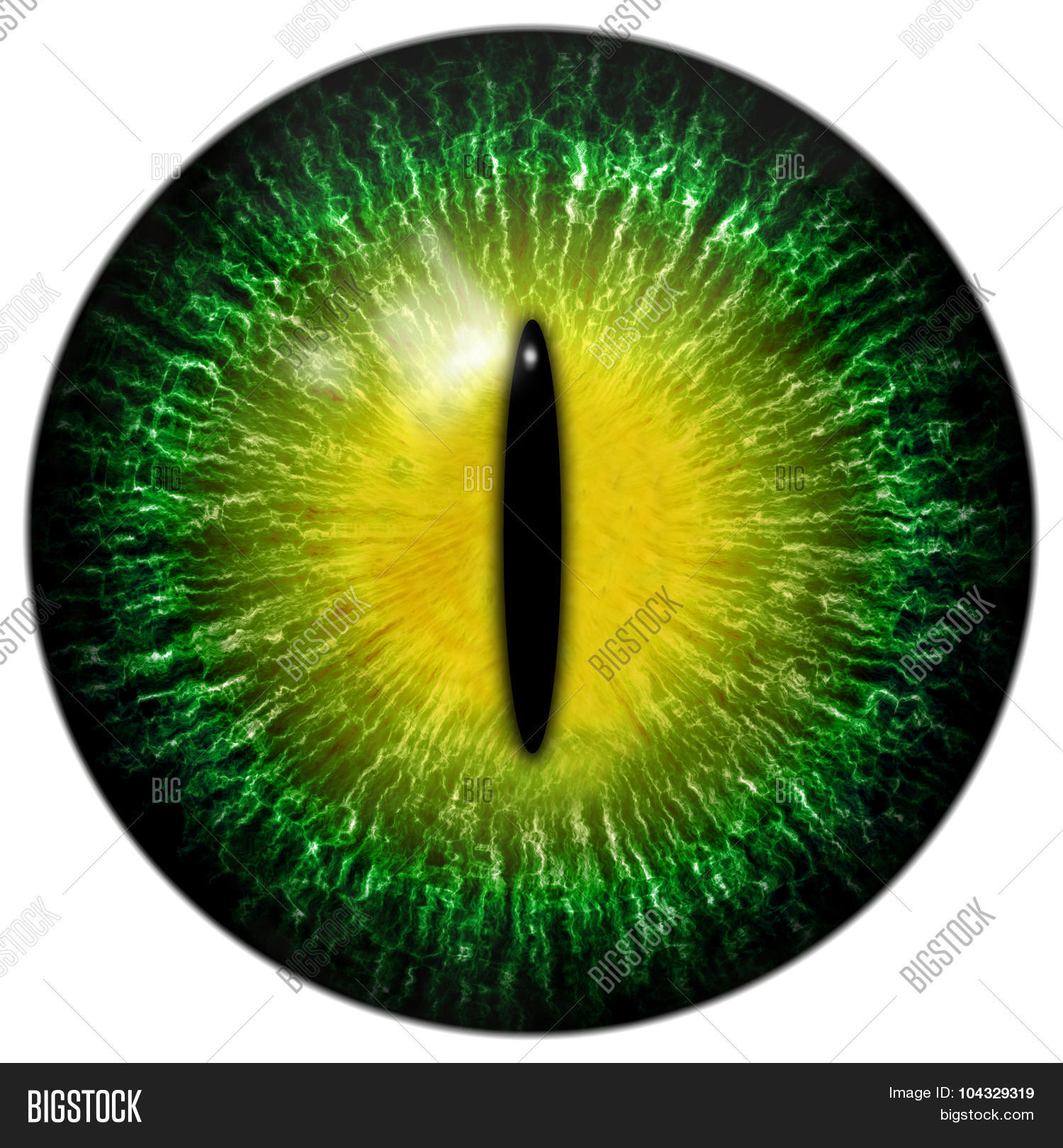 abstract,alien,amphibian,animal,artistic,background,cat,catkin,catling,circle,closeup,color,colorful,concept,contact,croc,crocodile,detail,digital,eye,eyeball,feline,green,illustration,iris,isolated,kitten,kitty,lens,lense,lizard,macro,mog,moggie,optical,orange,pattern,pupil,pussycat,reflection,reptile,reptilian,retina,round,snake,tabby,texture,vision,white,yellow