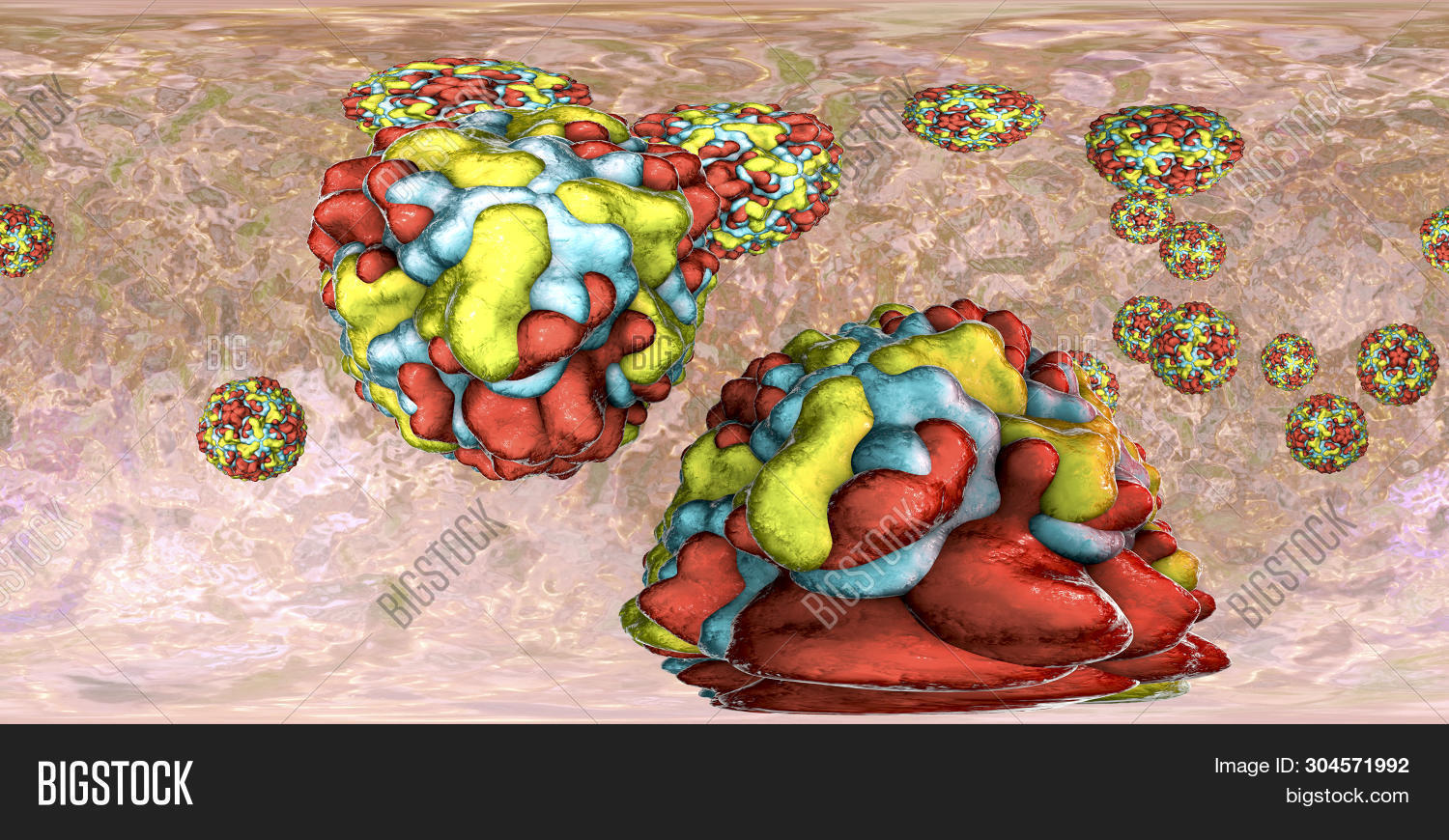 Viral Rhinities 360 Degree Panorama View Of Rhinoviruses, The Viruses Which Cause ...