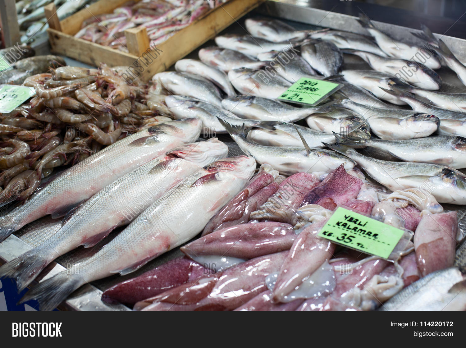 anchovy,box,buy,calamary,catch,closeup,cod,cold,diet,dorada,eye,fin,fish,fisherman,fishing,fishy,food,fresh,freshness,health,healthy,heap,herring,mackerel,market,meal,mediterranean,natural,nobody,nutrition,organic,prawns,price,protein,purchase,raw,sale,salmon,sardine,sea,seafood,shrimps,squid,store,tag,tail,trout,turkey,turkish,vitality