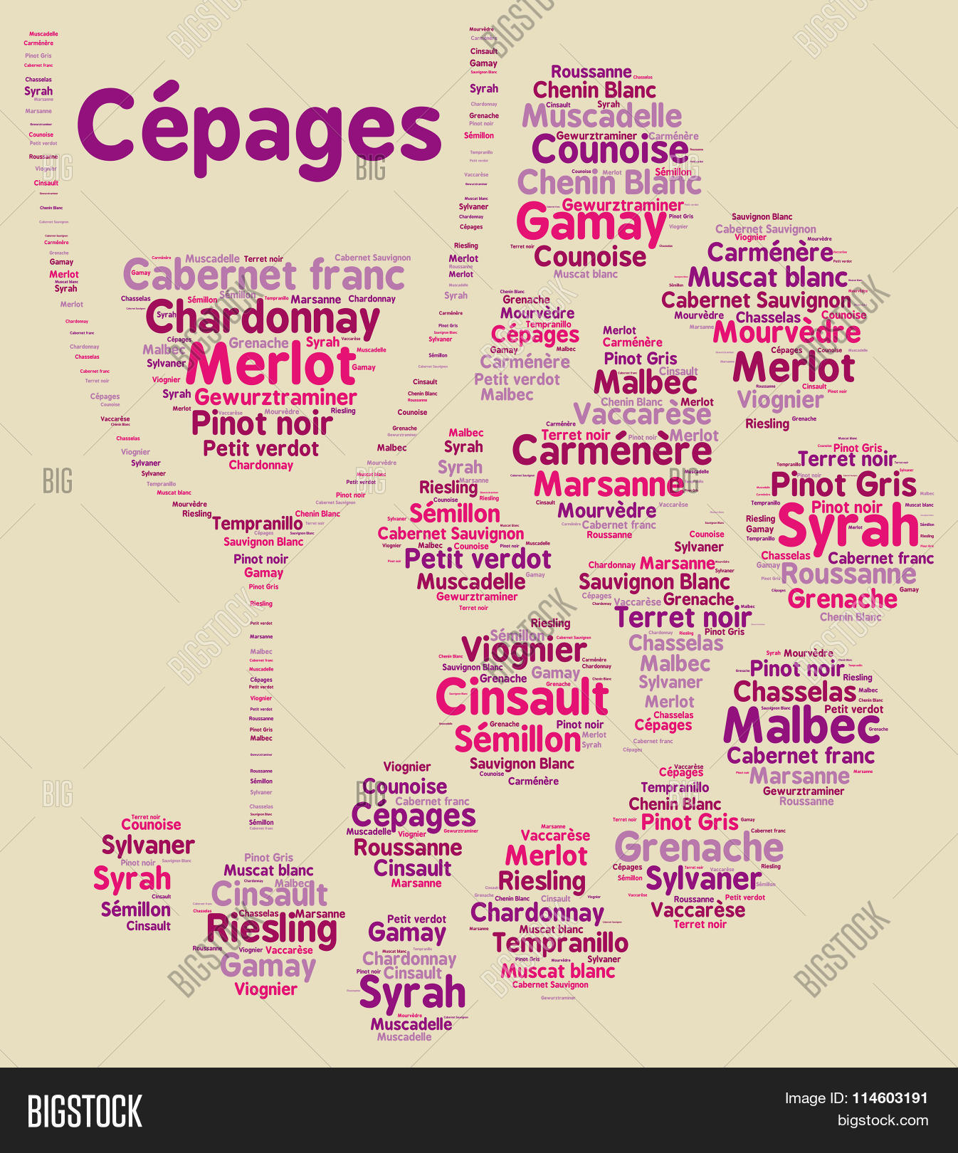 agricultural,alcohol,alsace,beverage,black,bordeaux,bottle,burgundy,cabernet,cepage,champagne,cloud,cote,detail,du,france,french,fruits,gamay,glass,grapes,grapevine,green,leaf,merlot,nature,pinot,producer,red,region,rhone,riesling,rose,rural,sauvignon,sylvaner,syrah,tradition,traditional,varietal,vineyard,viognier,viticulture,white,wine,winery,word,young