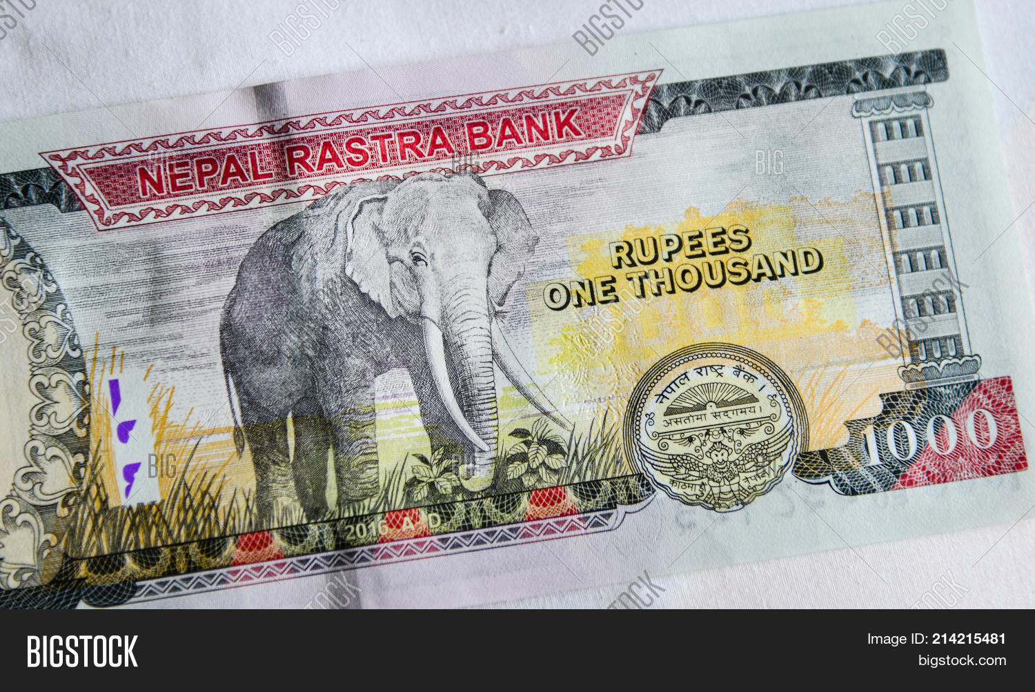 account,appropriation,asia,asian,asset,banknotes,bill,bucks,cash,coin,commodity,contest,credit,currency,deposit,dollar,exchange,foreign,fund,gold,government,kathmandu,loss,market,monetary,money,nepal,nepalese,note,paper,possession,profit,property,rich,rupee,salary,sale,sell,sterling,supply,thamel,thousand,token,value,wallet,wealth,worth