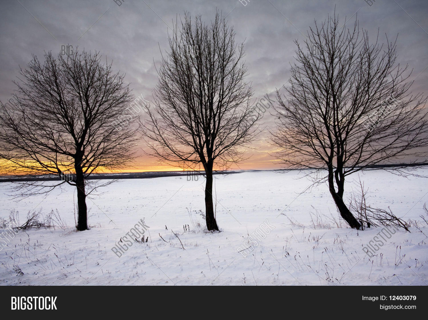 alone,arbor,background,beautiful,black,blue,bright,burning,christmas,clear,clouds,cold,cool,country,countryside,december,evening,fall,farm,february,field,horizon,landscape,lonely,nature,panorama,quiet,red,rime,rural,scene,season,seasonal,silence,silhouette,sky,snow,solitude,spring,still,sun,sunny,sunset,tree,valentine,white,winter
