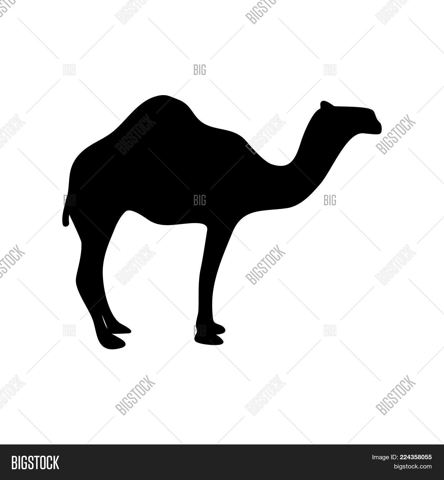 abstract,africa,animal,arab,arabian,arabic,art,asia,background,black,camel,caravan,collection,concept,culture,desert,design,east,egypt,exotic,flat,graphic,happy,icon,illustration,isolated,journey,line,lion,logo,mammal,nature,outline,portrait,rabbit,safari,sand,set,sign,silhouette,sky,style,symbol,tourism,travel,vector,white,wild,wildlife,zoo