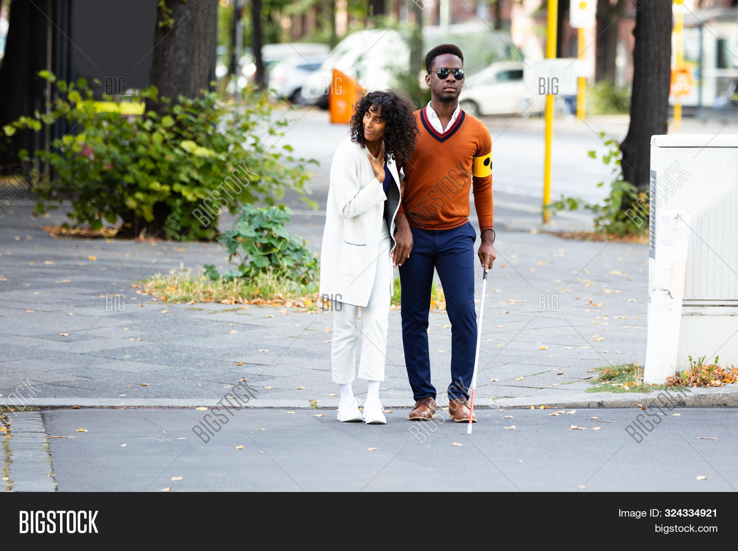 accessibility,adult,african,american,arm,assistant,assisting,black,blind,blindness,cane,care,cross,crossing,day,disability,disable,family,guide,guided,handicap,handicapped,help,helping,man,people,person,road,safety,sightless,stick,street,tree,walking,white,woman