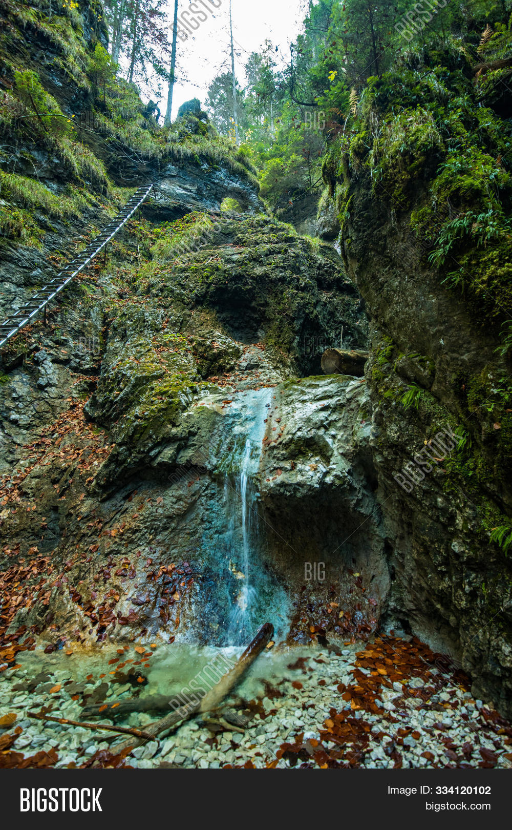 canyon,famous,footpath,footway,forest,gorge,green,hiking,hiking trail,landscape,mountain,mountain range,mountains,national park,natural,nature,ore mountains,outdoor,park,path,pathway,ravine,river,rock,route,scene,scenery,scenic,slovak,slovak paradise,slovak paradise national park,slovak republic,slovakia,slovensky raj,stones,stream,sucha bela,tourism,tourist,tourist attraction,track,trail,travel,tree,walking trail,water,waterfall,wood