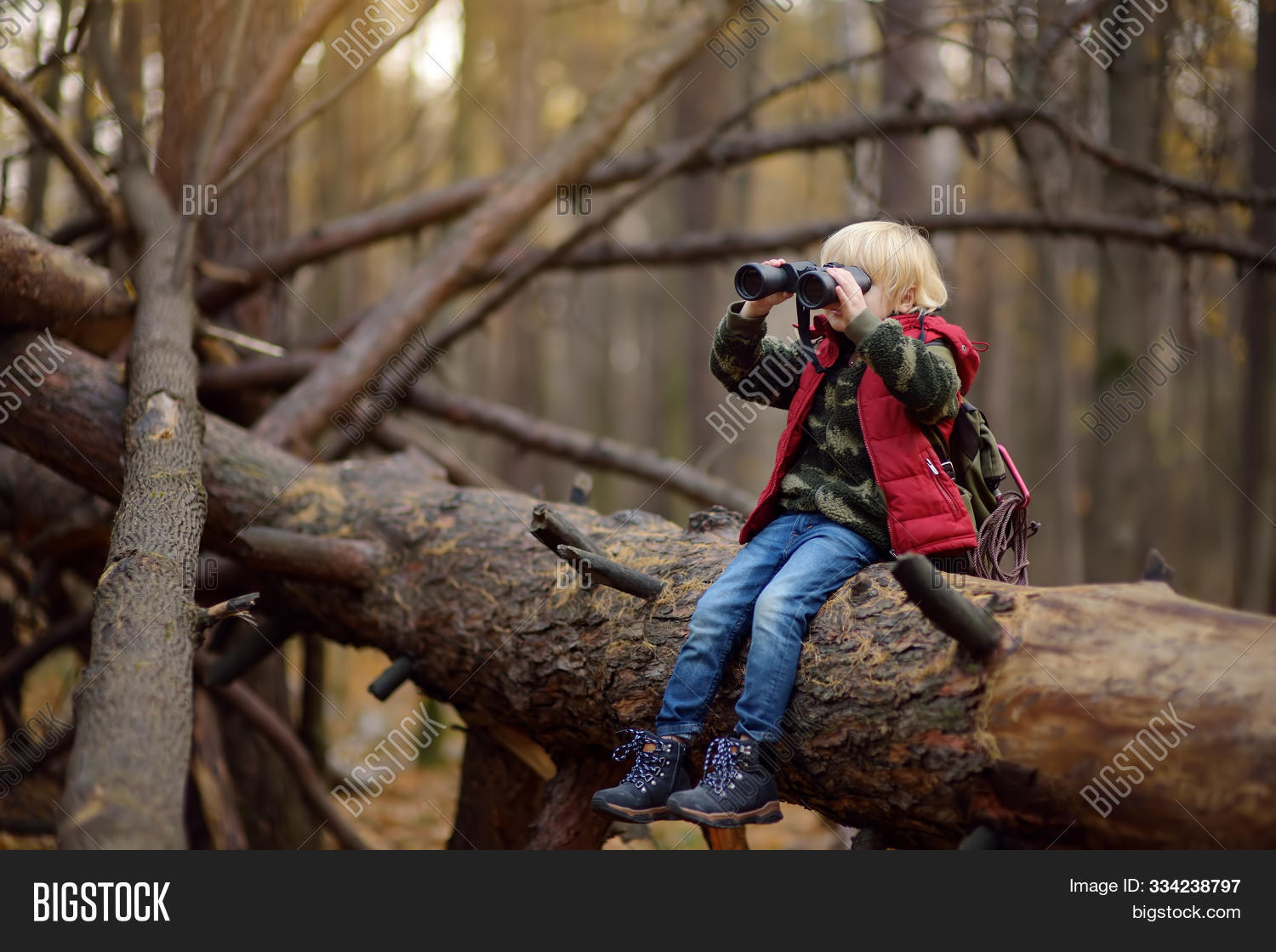 activity,adventure,autumn,backpack,binoculars,boy,branch,caucasian,child,childhood,concentrated,discovery,extreme,fallen,find,forest,fun,game,happy,hide,hike,hiking,joy,kid,large,leisure,little,looking,natural,nature,orienteering,outdoors,outside,park,play,preschooler,scout,scouting,sitting,skills,survival,tourism,tourist,training,travel,tree,vacations,wildlife,wood,woodland
