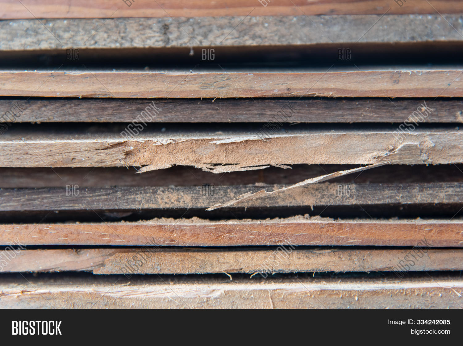 abstract,ambrosia,background,bark,beams,beetle,board,brown,building,chemical,closeup,concern,damage,decay,destroyed,element,forest,grain,grunge,hardwood,held,hole,hollow,immemorial,insect,macro,material,moth,moth-eaten,natural,nature,outdoor,partition,pest,plank,rotten,rough,scrape,spruce,structure,surface,termites,trace,treat,tree,wall,weathered,wood,wooden