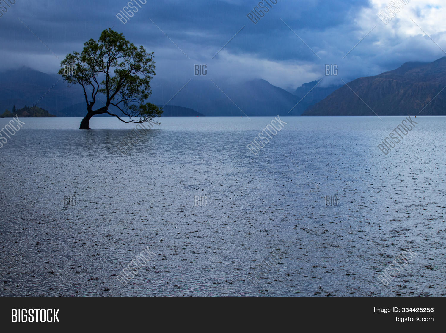 afloat,autumn,background,bad,beautiful,blue,branch,calm,clear,color,dark,day,drops,environment,gloomy,grass,heavy,lake,lakefront,landscape,lonely,nature,new,ominous,outdoor,panorama,peaceful,poking,pouring,queenstown,rain,reflection,sad,scenery,scenic,season,shimmer,shower,single,splash,spring,sticking,sunk,surface,tourism,travel,tree,wanaka,water