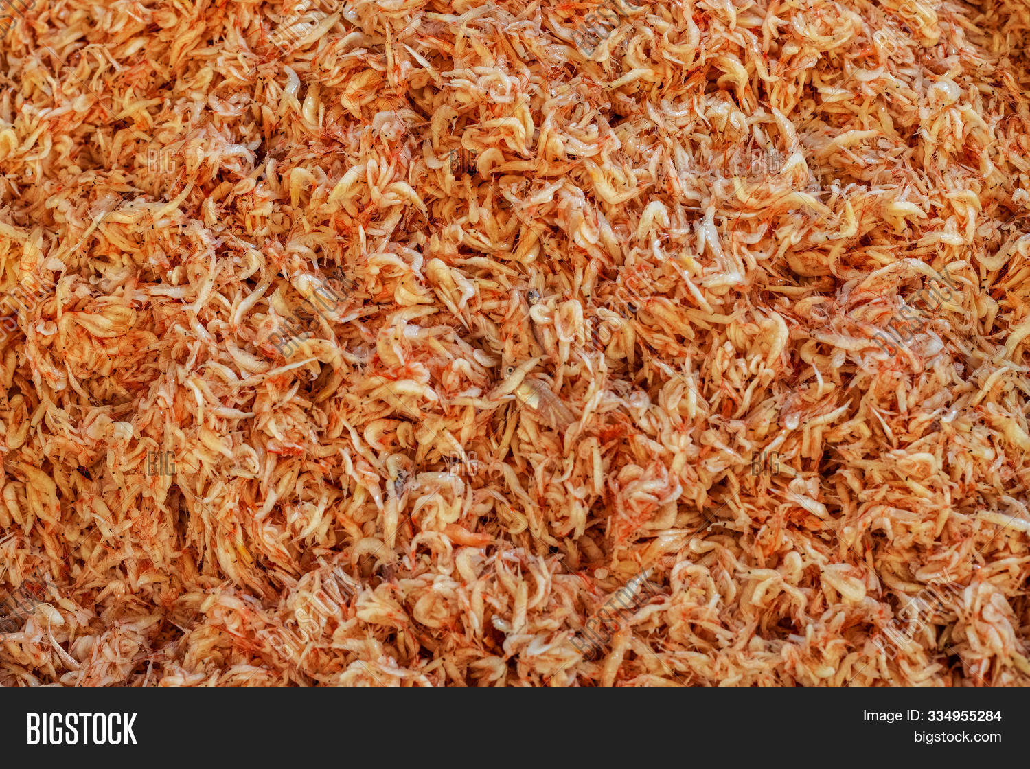 asian,baby,background,close-up,closeup,cook,crispy,crustacean,cuisine,delicious,detail,dinner,dried,dry,edible,fish,food,gourmet,healthy,ingredient,lot,macro,marine,market,meal,micro,natural,pattern,pink,popular,prawn,protein,red,restaurant,sea,seafood,shrimp,small,snack,spicy,street,texture,traditional