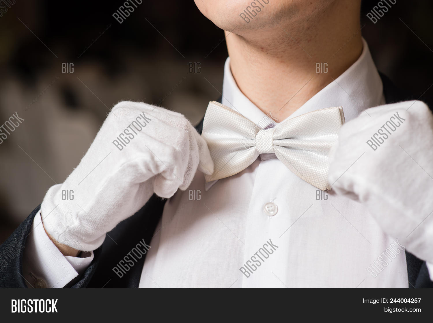 ball,ballroom,bow,button,celebration,charisma,classy,close,closeup,competition,confidence,dance,dancer,detail,dresscode,dressed,elegant,evening,fashion,fashionable,festive,fingers,focus,formal,gentleman,gesture,gloves,groom,guy,handsome,macho,male,man,neck,partner,shirt,style,stylish,suit,tie,touch,trend,tuxedo,valse,vogue,waltz,wedding,white,young,youth