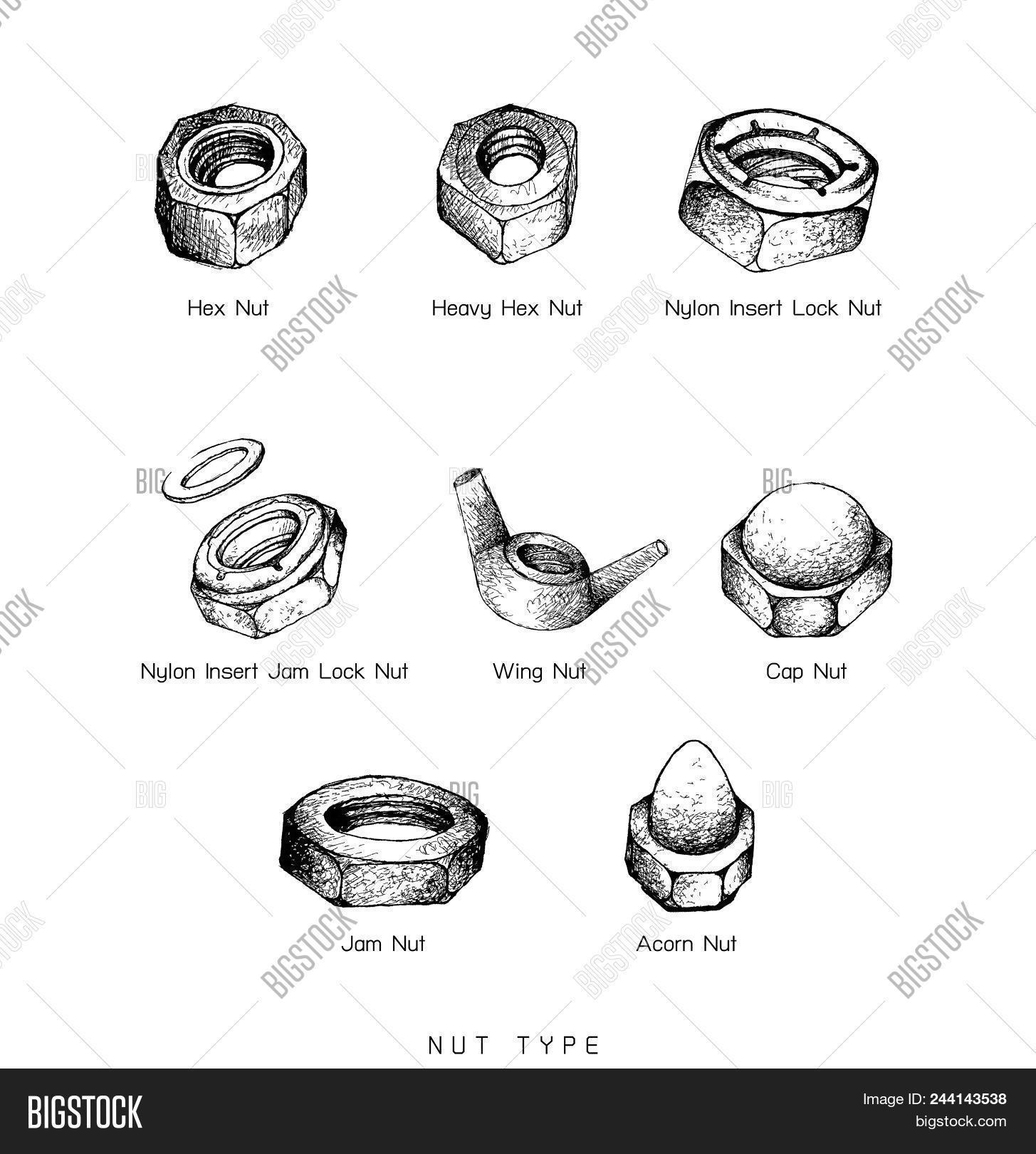 Acorn,Art,Blind,Bolt,Cap,Combination,Conjunction,Construction,Crown,Dome,Doodle,Drawing,Elastic,Engineering,Engraving,Equipment,Fasten,Fastener,Hardware,Heavy,Hex,Hexagon,Hole,Industrial,Insert,Instrument,Jam,Join,Line,Lock,Machine,Machinery,Manufacturing,Mechanic,Metal,Nut,Nyloc,Nylon,Part,Polymer,Ring,Round,Screw,Stop,Thread,Tool,Vector,Washer,Wing,Wingnut