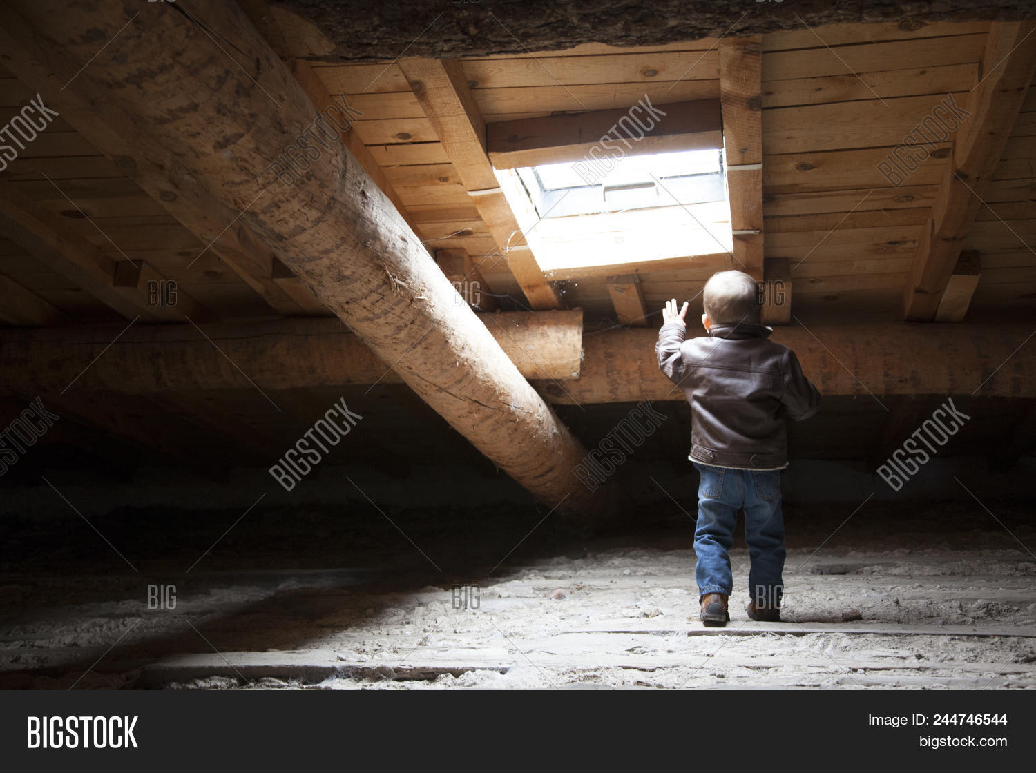 amusing,baby,boy,brown,calm,ceiling,cowboy,dark,dim,entertaining,funny,game,jacket,leather,light,obscure,pants,play,portcullis,rake,red,roof,skylight,spider,spiderweb,suite,timber,tranquility,web,window,wood