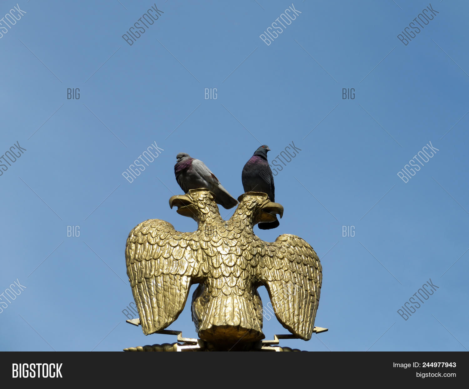 and,arms,bird,decoration,double,dove,eagle,emblem,empire,gates,golden,headed,imperial,lightning,metaphor,military,moscow,ornament,paws,peace,pigeon,power,proud,roman,russia,russian,sculpture,sitting,sky,statue,symbol,two,war,wings