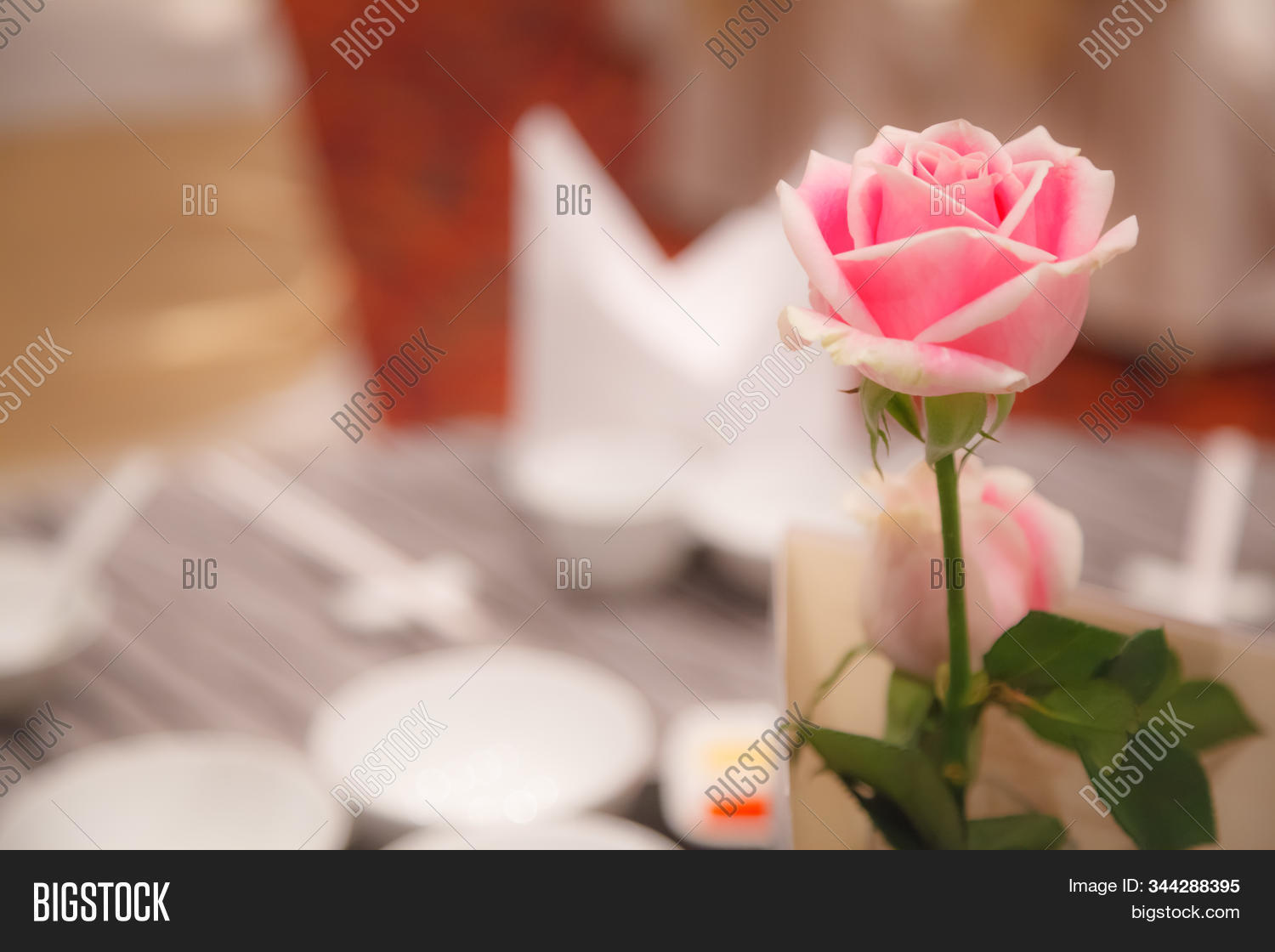 love,valentine,romantic,bouquet,rose,pink,floral,background,banquet,buffet,business,catering,celebration,ceremony,cloth,cocktail,conference,cutlery,decoration,dining,dinner,dish,event,feast,flower,food,gala,hotel,interior,linen,lunch,luxury,meeting,napkin,party,place,plate,porcelain,reception,restaurant,room,seminar,service,setting,silverware,spoon,table,vip,wedding,workshop