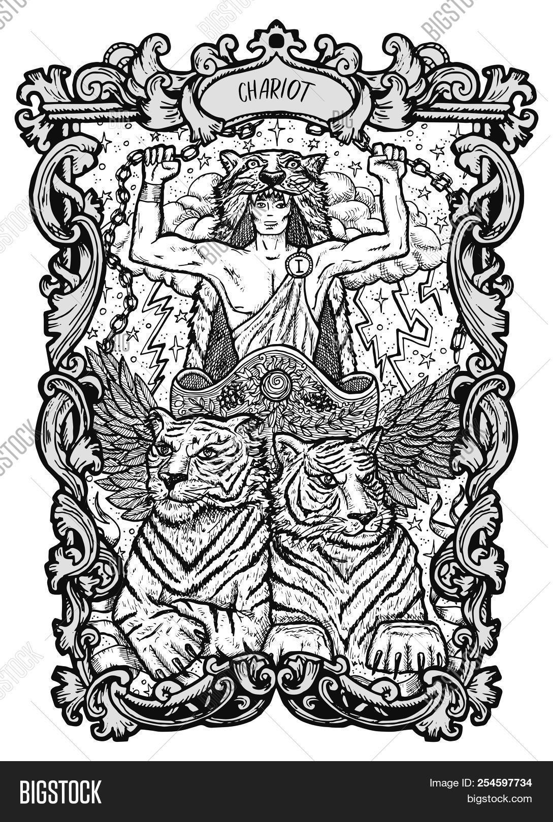 antique,arcana,art,astrology,background,cards,cartomancy,chariot,coloring,deck,decorative,design,drawing,drawn,engraving,esoteric,fable,fantastic,fantasy,fate,fortuneteller,frame,freedom,gothic,graphic,hand,illustration,leader,line,magic,mascot,monochrome,mysterious,myth,occult,oracle,prediction,prophecy,reading,sacral,sketch,spiritual,supernatural,symbol,tarot,tiger,vector,vintage,wiccan,witchcraft