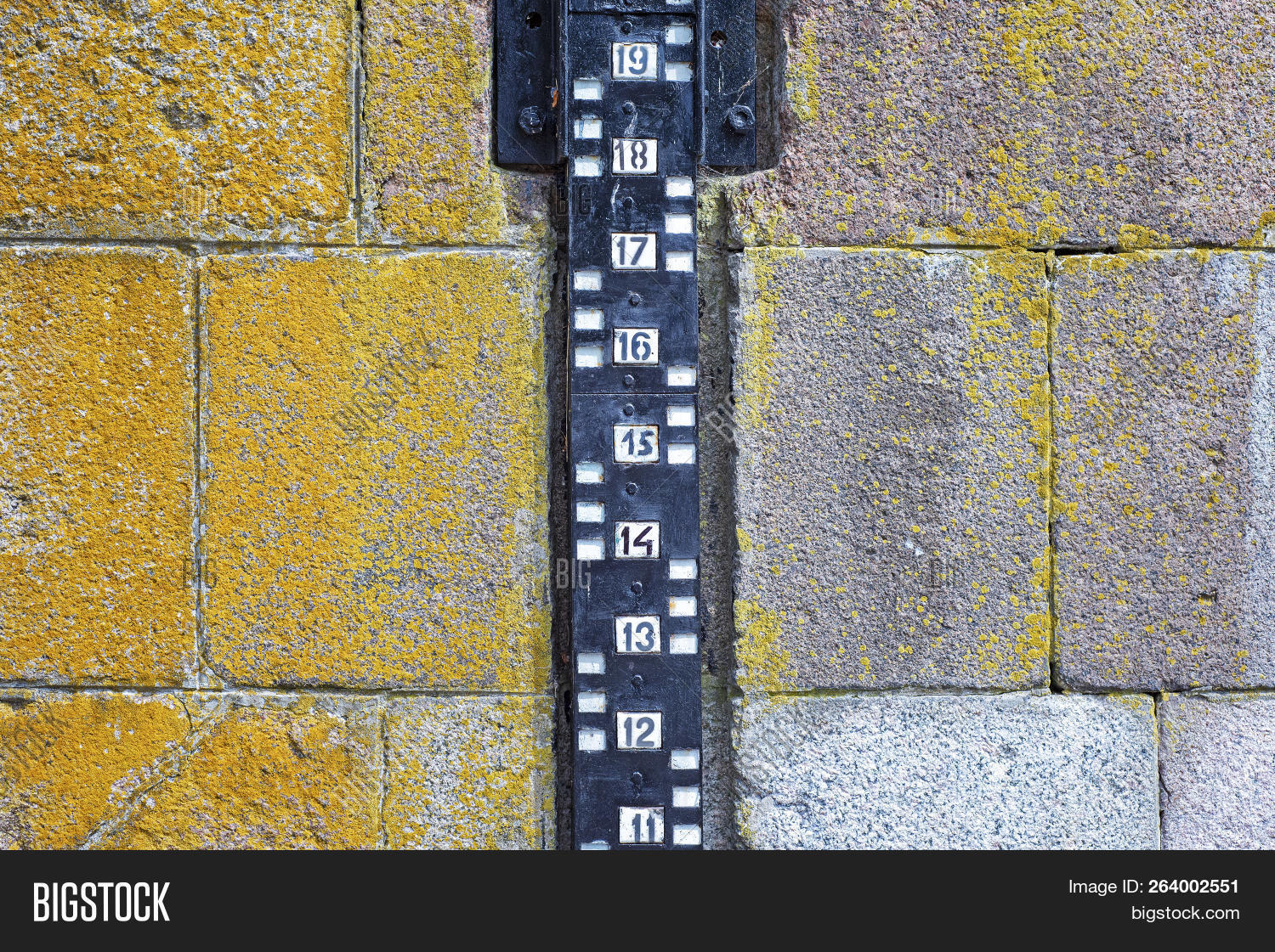 bank,black,bridge,change,climate,control,danger,depth,ecology,environment,environmental,flood,flow,gauge,global,greenhouse,ground,harbor,indicator,industry,lake,level,line,low,mark,marker,measure,measurement,meter,metering,mold,moss,nature,number,object,outflow,overflow,plant,river,ruler,scale,stone,stream,summer,vertical,wall,warming,water,yellow