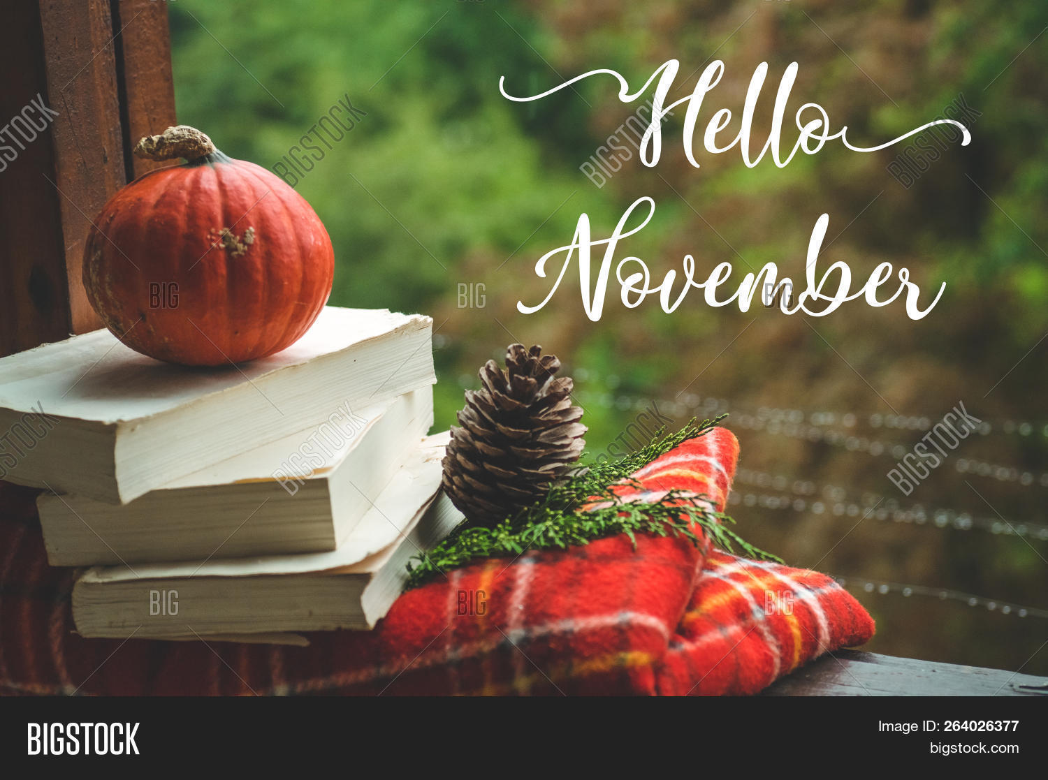 autumn,blanket,book,calm,coffee,cold,comfort,cone,copy,cozy,cup,drink,free,hello,home,hot,house,indoors,interior,life,living,mood,morning,november,pine,pumpkin,rain,reading,red,relax,retro,room,rustic,season,shabby,sill,space,still,tea,time,view,vintage,warm,weather,weekend,window,windowsill,wood,wooden