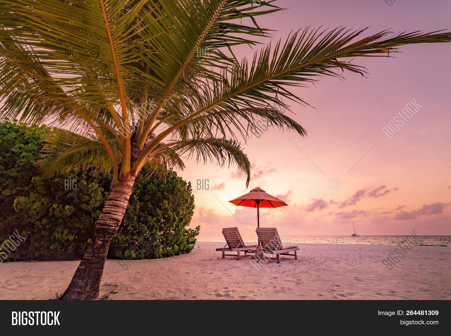 background,bahamas,beach,beautiful,blue,bora,calm,caribbean,designs,dominican,exotic,hawaii,holiday,honeymoon,idyllic,inspirational,inspire,island,landscape,maldives,nature,ocean,outdoors,palm,paradise,relaxation,romantic,sand,sandy,sea,seascape,seychelles,summer,sunny,tahiti,thailand,tourism,travel,tree,trip,tropical,vacation,weekend