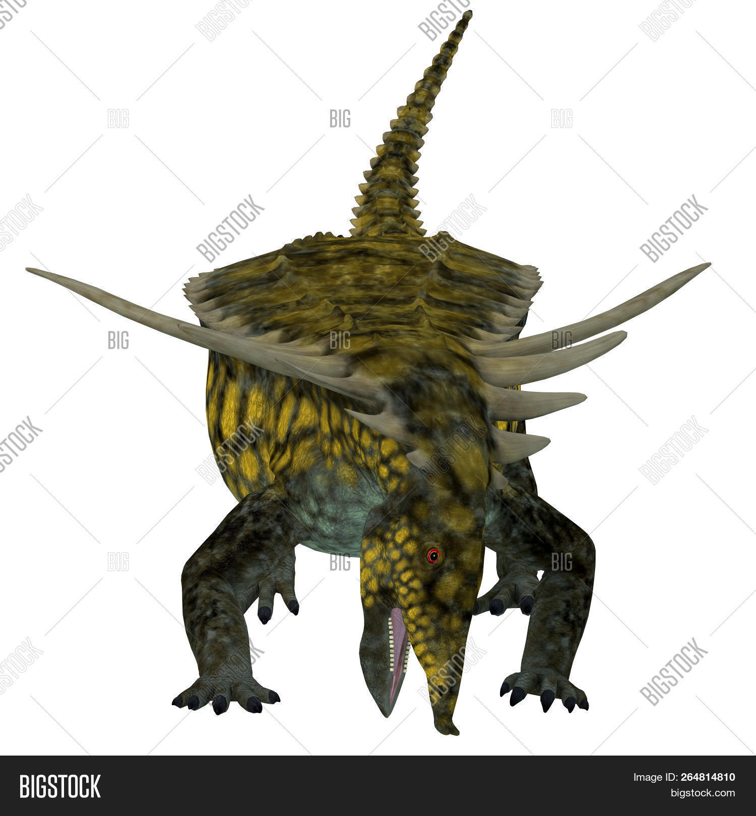 3D,Arizona,Art,Desmatosuchus,Paleo,Period,Texas,Triassic,animal,aquatic,armored,background,creature,dinosaur,era,evolution,extinct,extinction,herbivore,herbivorous,illustration,image,isolated,lizard,nature,on,organism,osteoderm,over,picture,prehistoric,primeval,primitive,reptile,spurensis,teeth,themes,vertebrate,white,wild,wildlife