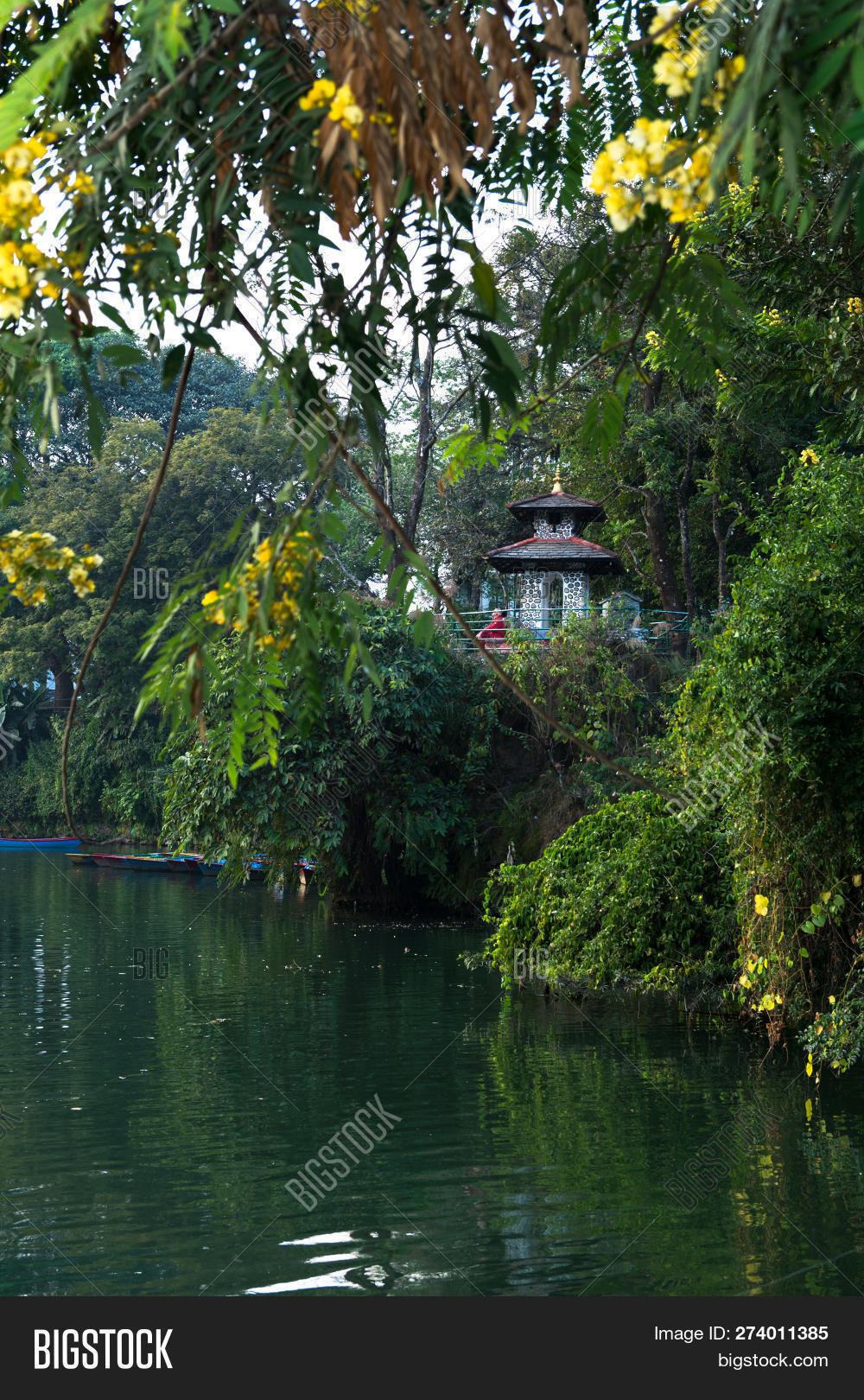 asia,attraction,barahi,beautiful,belief,bells,boat,dashain,destination,editorial,environment,fewa,floating,flower,forest,freshwater,green,hinduism,holy,island,lake,lakeside,landscape,leisure,nature,nepal,nepalese,nepali,pagoda,phew,phewa,pokhara,purple,religion,row,rowboat,shore,sightseeing,small,spring,summer,taal,temple,thika,tourism,tree,vacation,water