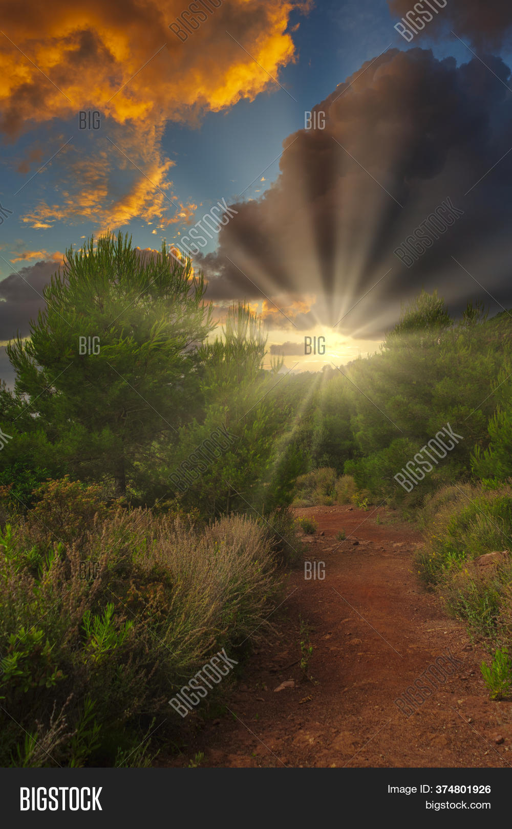 landscape, 																					sunlight, 																					outdoor, 																					tree, 																					nature, 																					sunny, 																					beautiful, 																					spring, 																					summer, 																					sun, 																					sunrise, 																					forest, 																					season, 																					sunset, 																					background, 																					green, 																					autumn, 																					light, 																					sunbeams, 																					morning, 																					shine, 																					wood, 																					countryside, 																					natural, 																					park, 																					scenic, 																					sunshine, 																					walk, 																					panorama, 																					environment, 																					path, 																					red, 																					view, 																					fall, 																					orange, 																					footpath, 																					road, 																					idyll, 																					brown, 																					day, 																					travel, 																					rays, 																					leaves, 																					coniferous, 																					trunks, 																					relaxation, 																					leaf, 																					foliage, 																					reserve