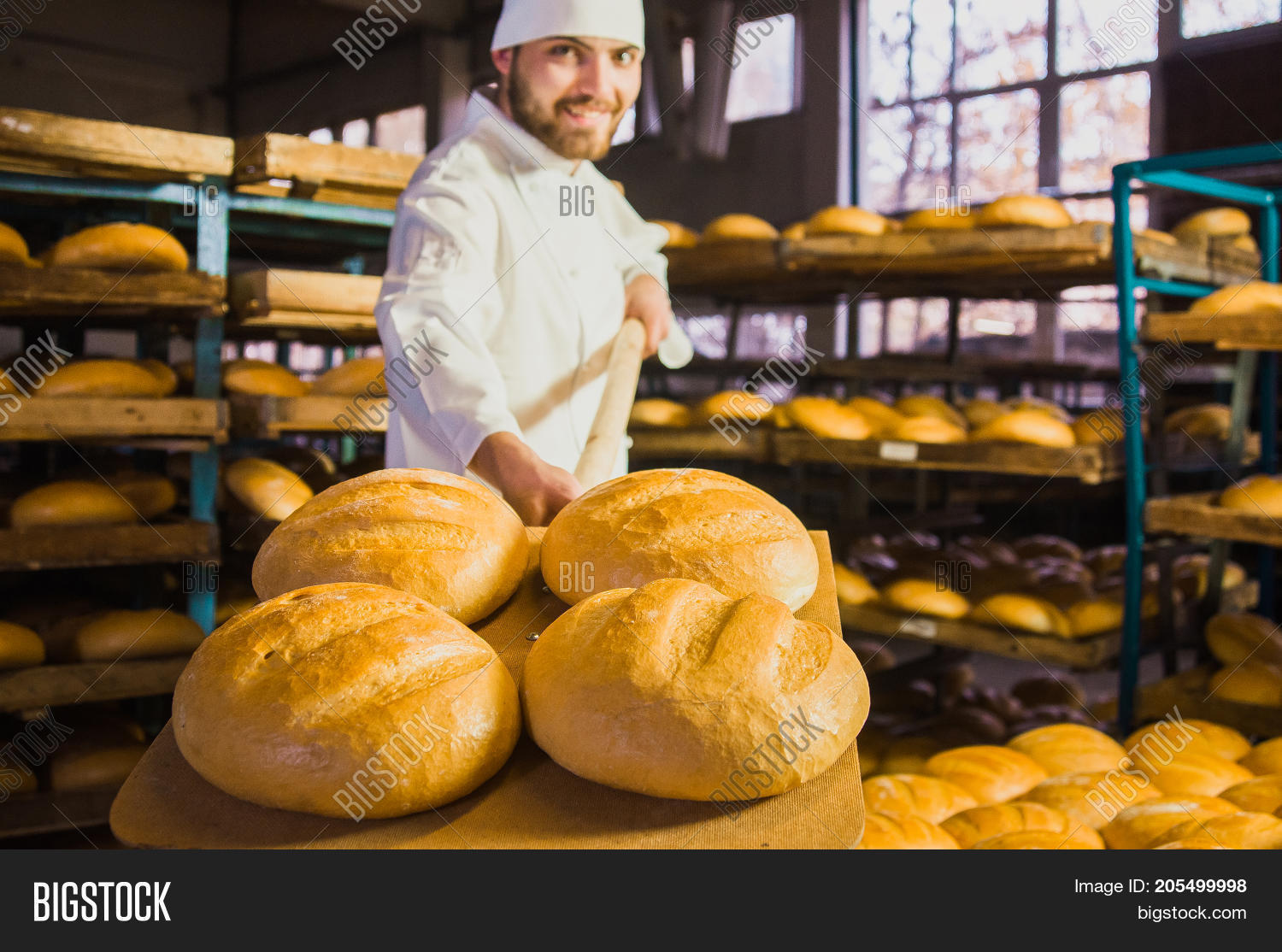 adult,assistant,background,bake,baker,bakery,baking,bread,business,caucasian,factory,female,flour,food,fresh,healthy,industrial,industry,job,loaf,male,man,manufacture,nutrition,occupation,oven,pastry,people,plant,portrait,production,shop,store,table,wheat,white,woman,worker,working