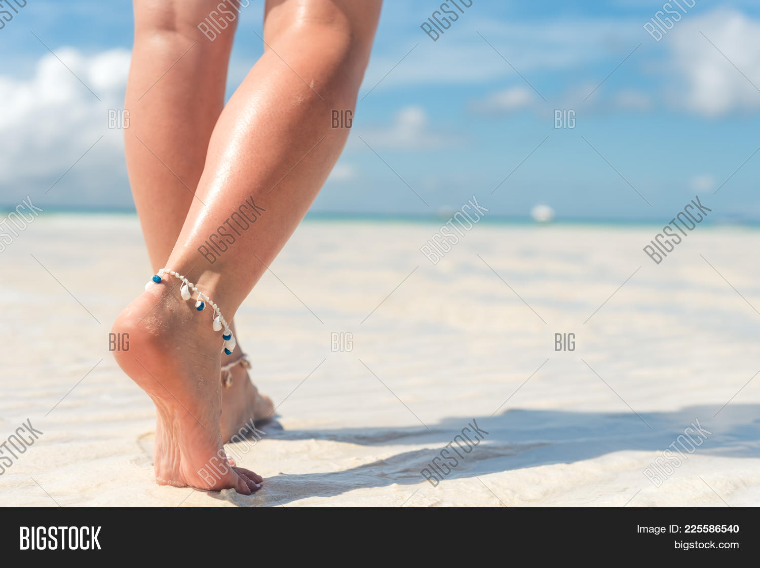 Ankle Ankle