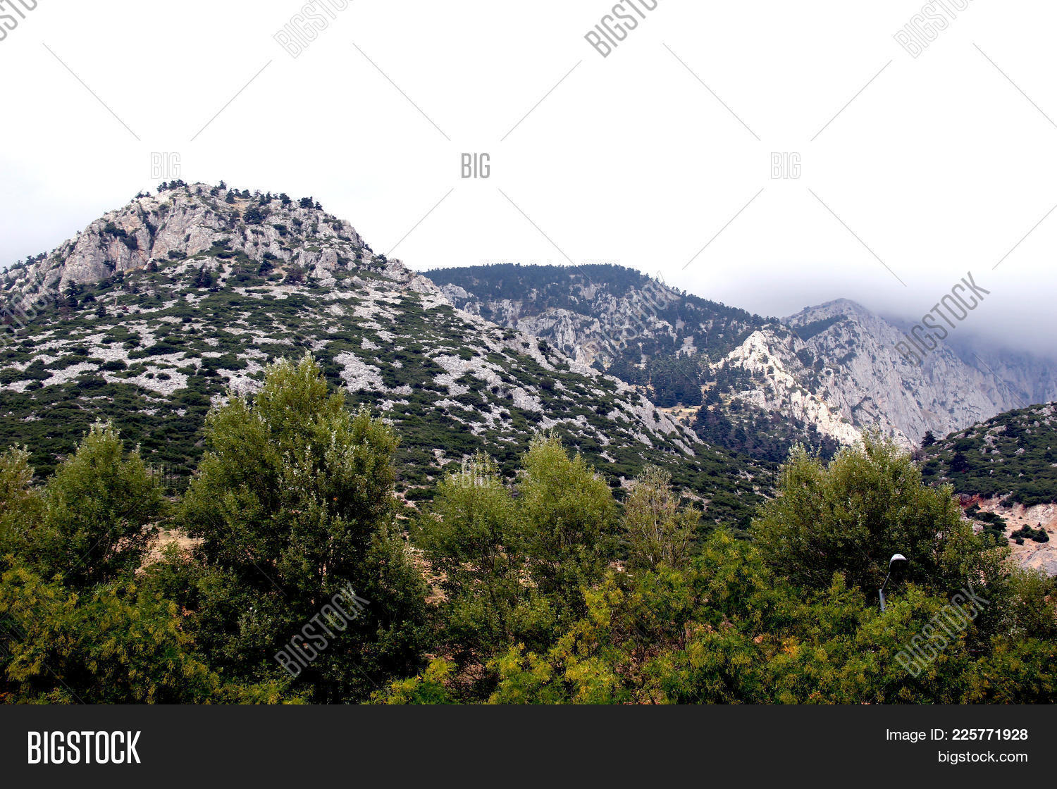 What is Parnassus Myths and interesting places of the sacred mountain in Greece 79 What is Parnassus Myths and interesting places of the sacred mountain in Greece 4