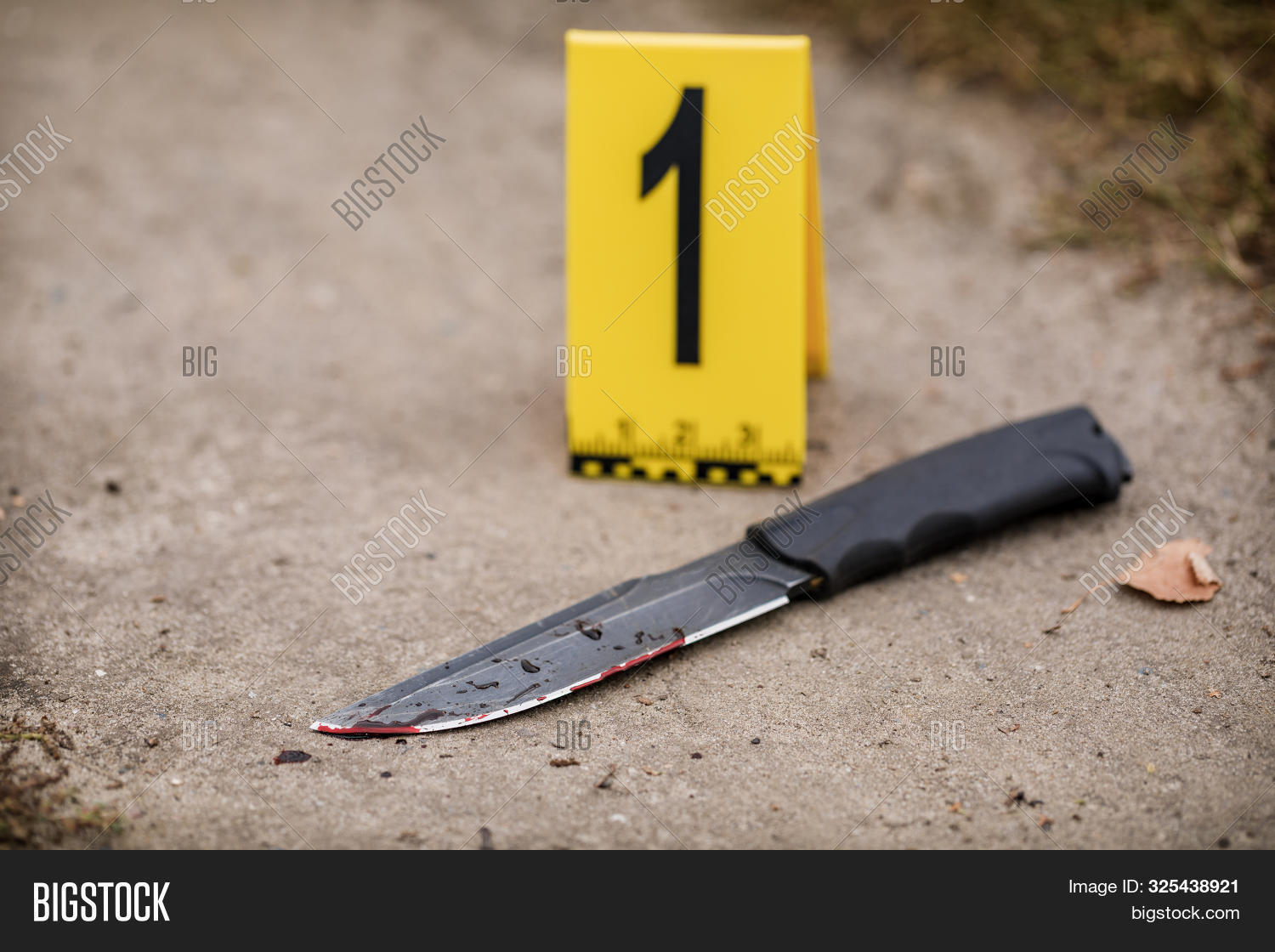 analysis,blood,case,casing,check,collect,crime,criminal,criminologist,criminology,danger,death,detective,documentation,evidence,examination,find,forensic,gather,guns,homicide,incident,inspector,investigate,investigation,investigator,kill,killing,knife,law,location,marker,murder,mystery,number,object,offense,police,proof,red,safety,scene,shell,sign,splatter,stain,trace,victim,violence,weapon