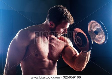 Muscular Bodybuilder Male Fitness Model Perfect Muscles Six Pack Abs