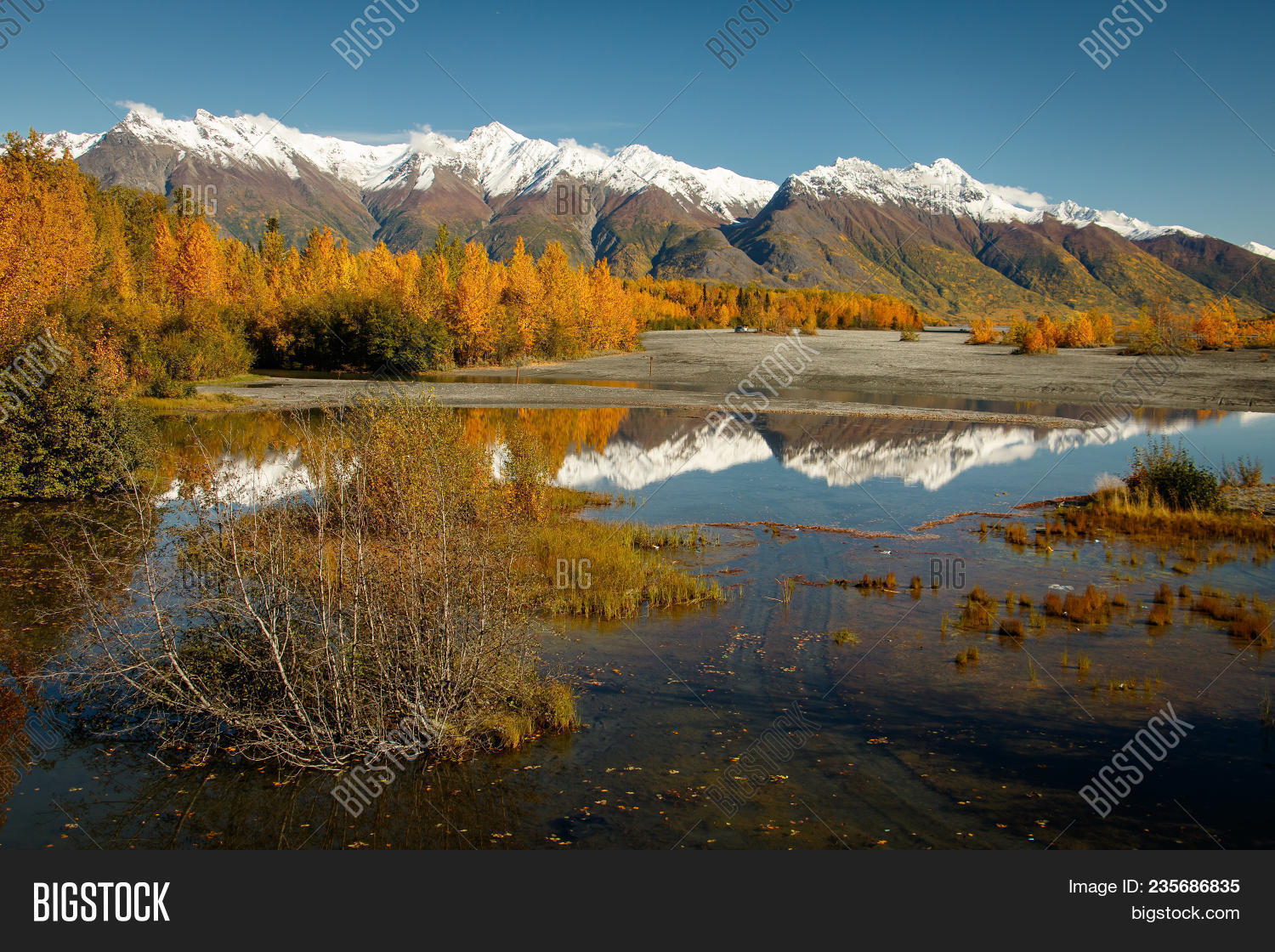 alaska,anchorage,aspen,autumn,background,beauty,elias,fall,forest,glenn,gold,haines,high,highway,hwy,interior,journey,junction,lakes,mountain,nature,outdoor,park,poplar,range,reflection,river,rocky,route,scenic,season,snow,state,tok,travel,tree,usa,vacations,valley,view,water,white,woods,wrangell,yellow,yukon