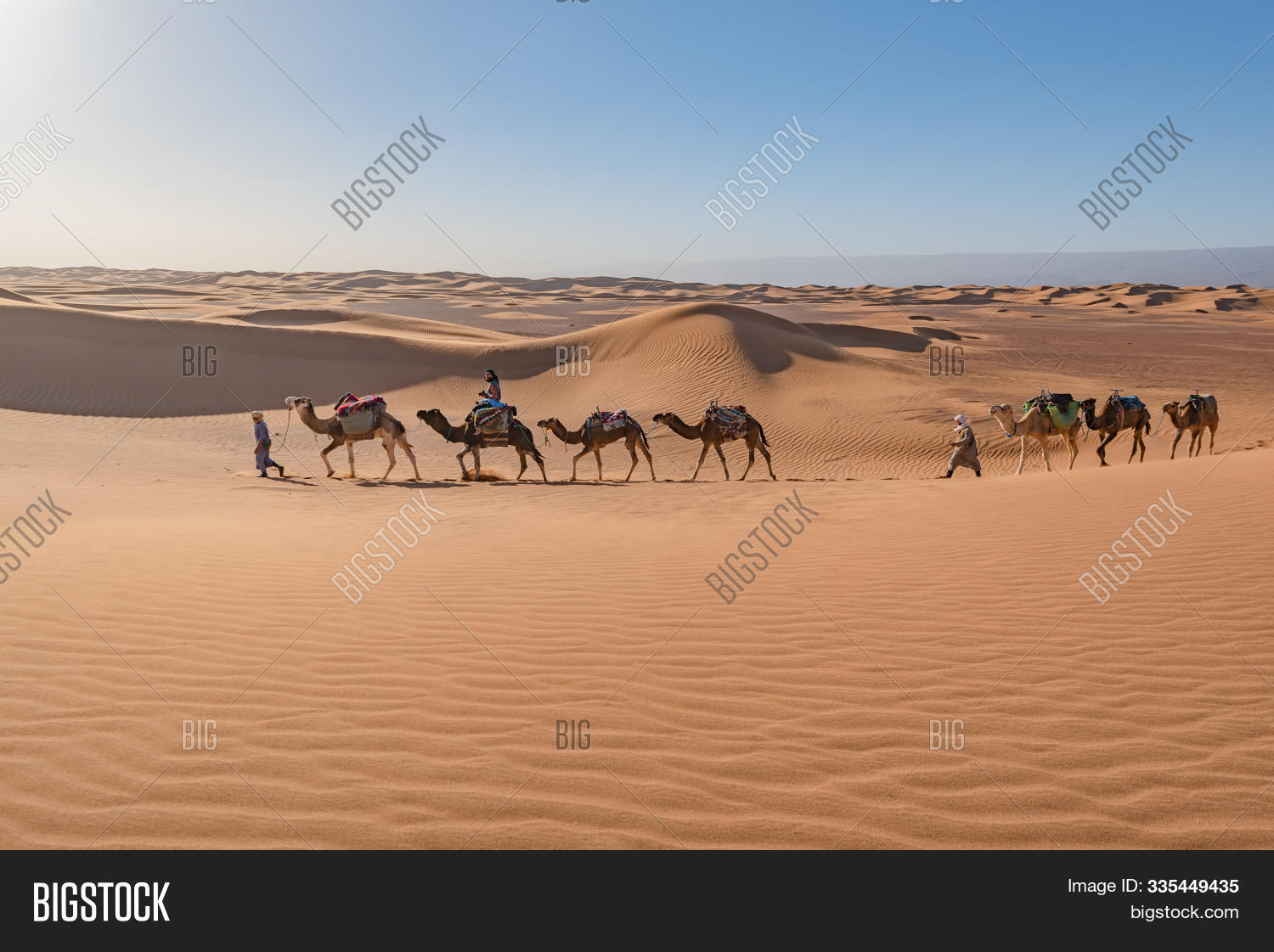 Horizon,Morocco,Sahara,adventure,africa,african,animal,berber,blue,camels,caravan,day,desert,dune,eco-tour,eco-tourism,guide,horizontal,hot,landscape,leading,nature,outdoor,people,safari,sand,shadows,tourism,travel,travelling,walking,yellow