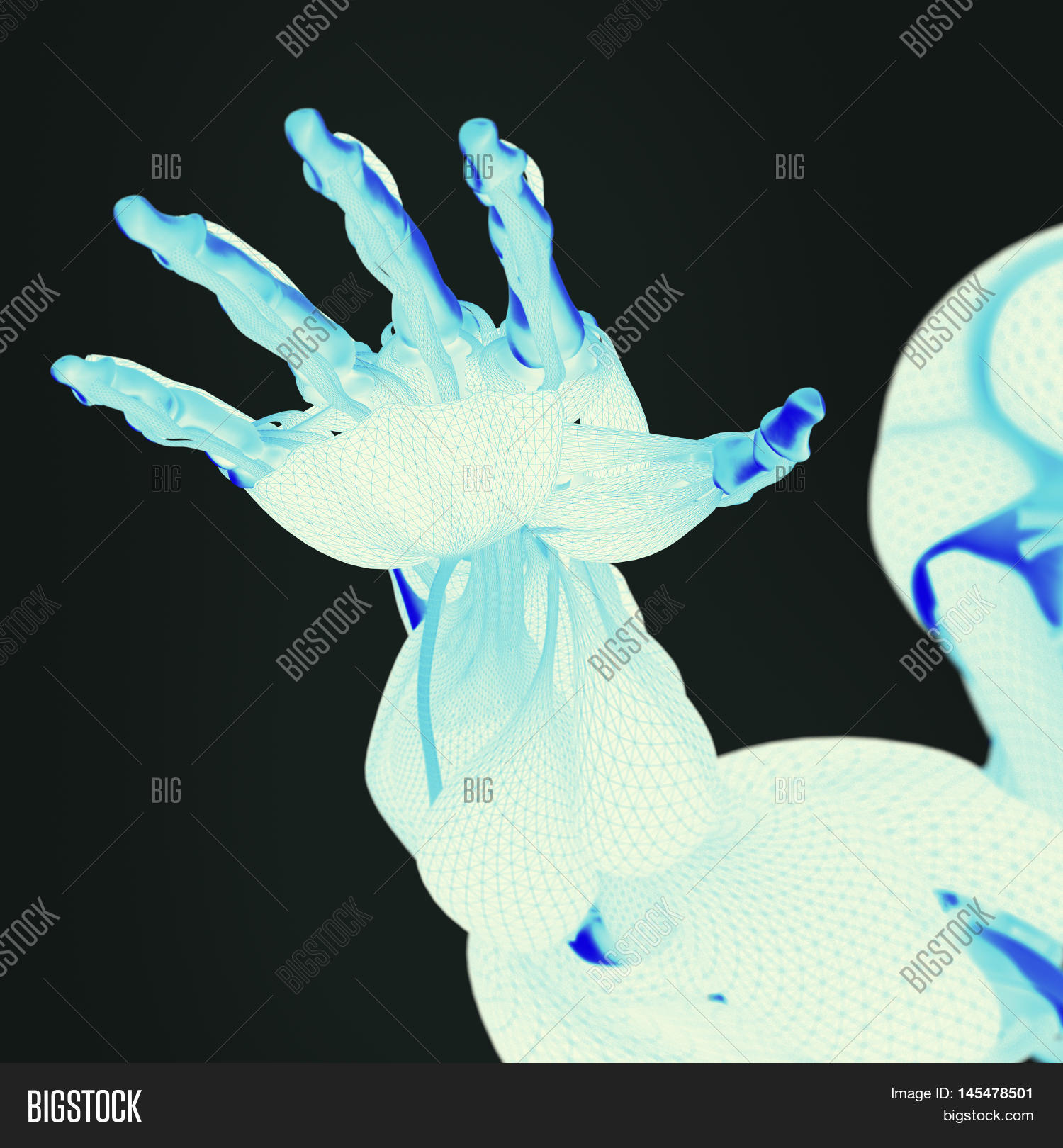 vascular,system,human,medical,thermal,biotechnology,technology,medicine,illustration,bone,dimensional,advanced,body,color,sci,muscular,anatomy,education,art,health,virtual,reality,vibrant,future,augmented,skeleton,fi,cyber,scan,three,futuristic,science,x-ray,infrared,ar,structure,3D