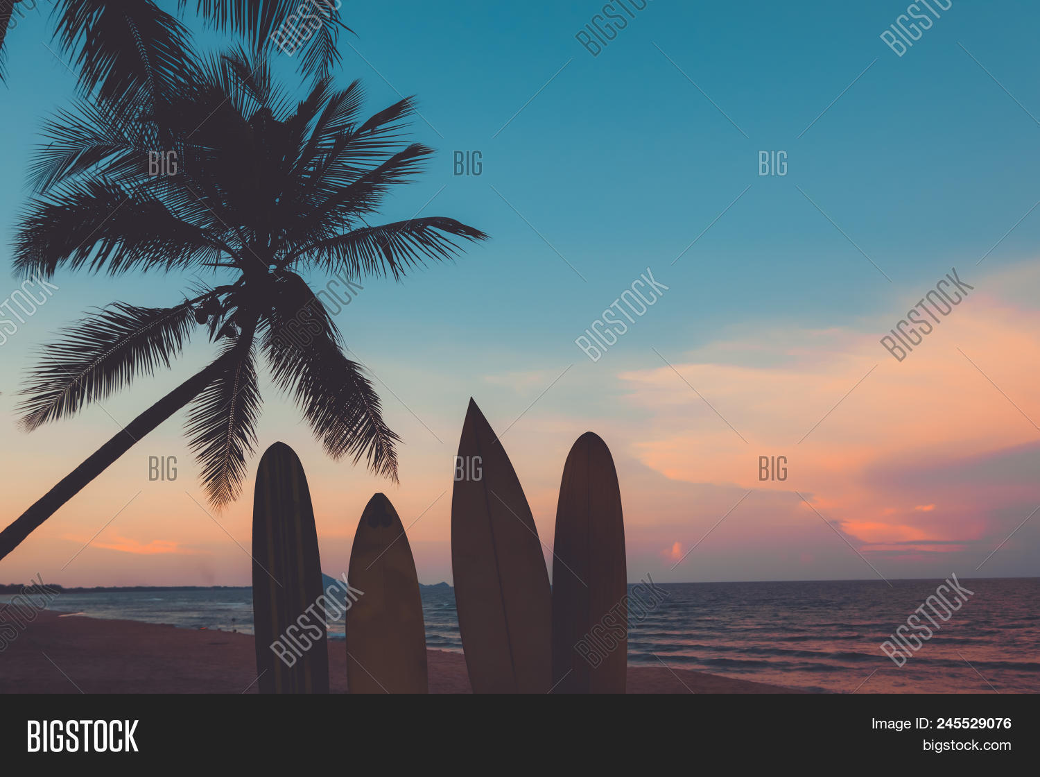 beach,beautiful,caribbean,coast,effect,filter,fin,instagram,landscape,lifestyle,nature,ocean,palm,paradise,retro,sand,sea,shore,silhouette,sport,summer,sun,sunset,surf,surfboard,surfer,surfing,travel,tree,tropical,twilight,vacation,vintage,water