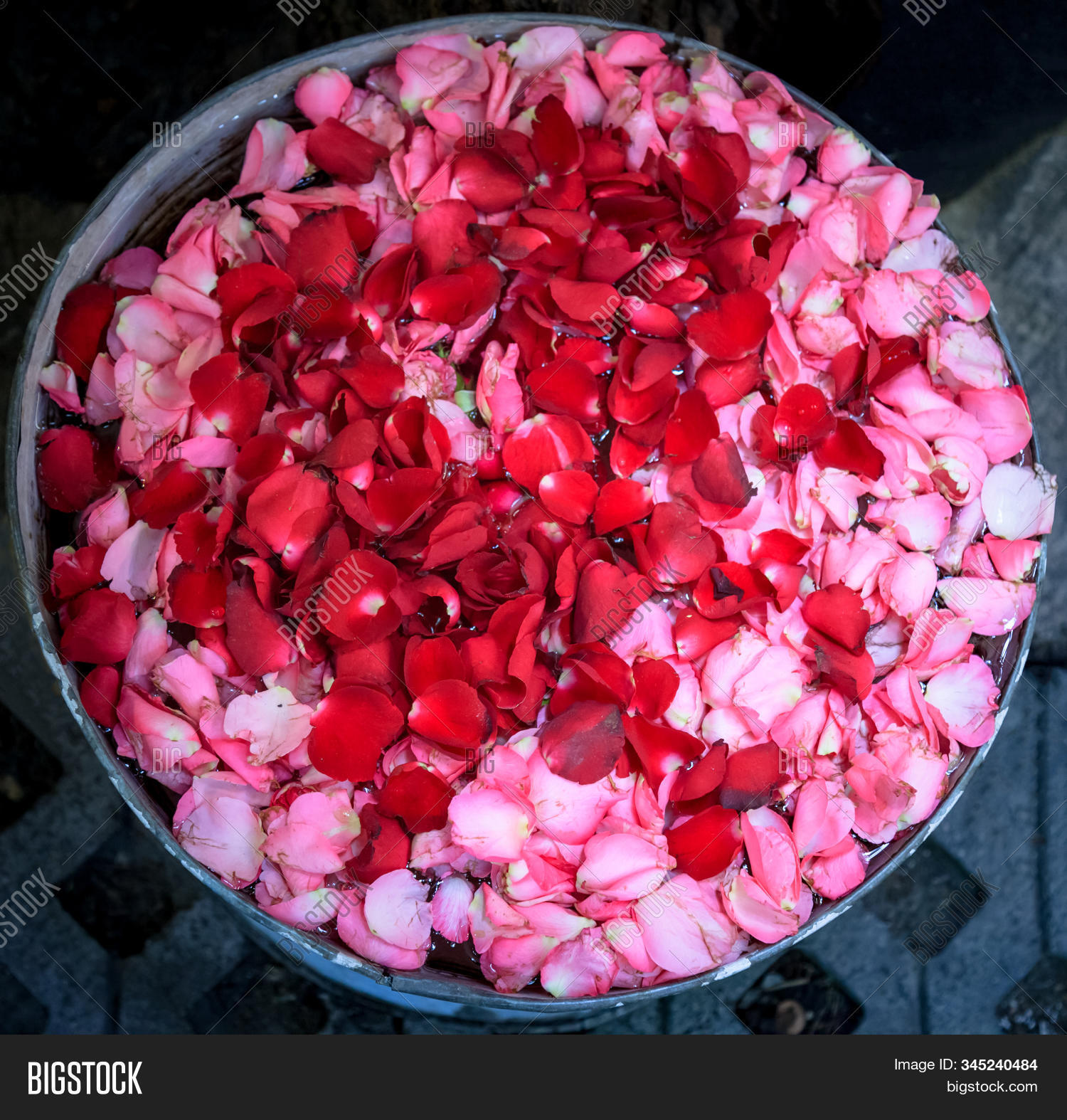 beauty,summer,bloom,sweet,blossom,pink,air,freshener,architectural,architecture,arrangement,arranging,art,asia,asian,background,beautiful,blooming,bowl,chinese,color,colorful,decorate,decoration,design,flora,floral,florist,flower,fresh,garden,rose,green,interior,life,living,natural,nature,petal,red,refresh,room,spa,style,thai,thailand,traditional,water