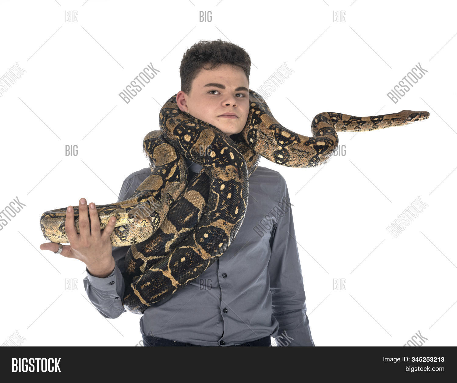boa,imperator,snake,teen,man,teenager,woner,complicity,northern,Colombian,common,red-tailed,animal,reptile,brown,adult,dangerous,studio,white,background,isolated