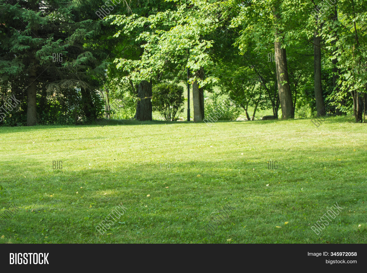 green, 																					park, 																					lawn, 																					sunny, 																					light, 																					grass, 																					tree, 																					summer, 																					landscape, 																					plant, 																					nature, 																					fresh, 																					land, 																					garden, 																					forest, 																					sunlight, 																					foliage, 																					leaf, 																					rural, 																					area, 																					season, 																					bright, 																					outdoor, 																					path, 																					background, 																					meadow, 																					white, 																					sunshine, 																					nobody, 																					gardening, 																					botany, 																					beautiful, 																					flower, 																					bush, 																					yard, 																					grow, 																					life, 																					shade, 																					natural, 																					landscaping, 																					pasture, 																					idyllic, 																					parkland, 																					grassland, 																					shine, 																					sunset, 																					sun, 																					shadow, 																					lush