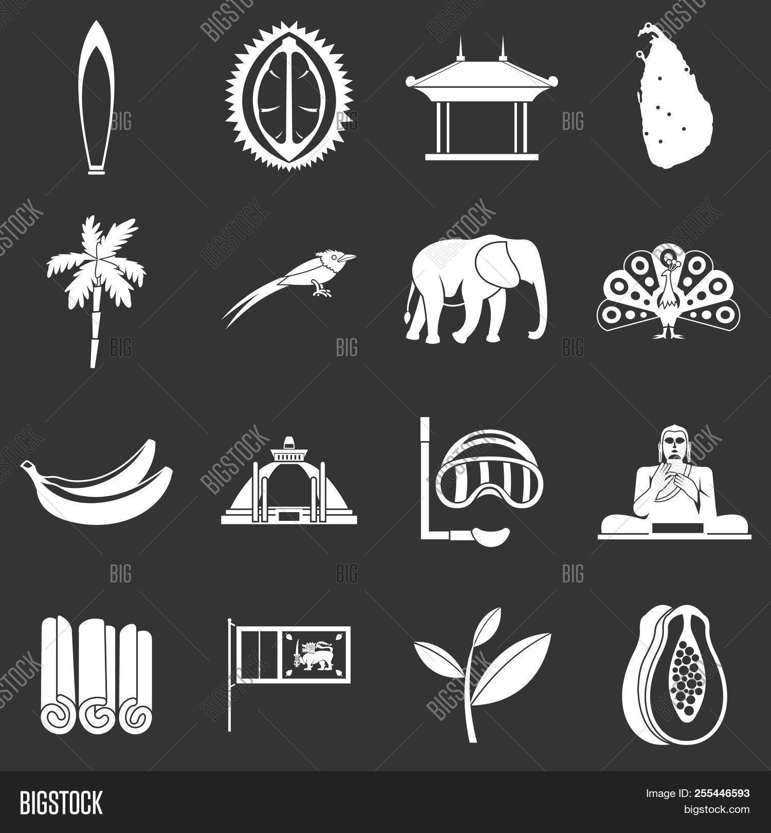 asia,banana,bird,buddha,buddhism,ceylon,cinnamon,colombo,color,country,curry,elephant,flag,food,gems,germ,grey,heat,hinduism,icon,illustration,island,jewelry,land,lanka,map,mask,national,nut,papaya,peacock,plantation,set,simple,spices,sri,summer,symbols,tea,temple,travel,tree,tuna,vacation