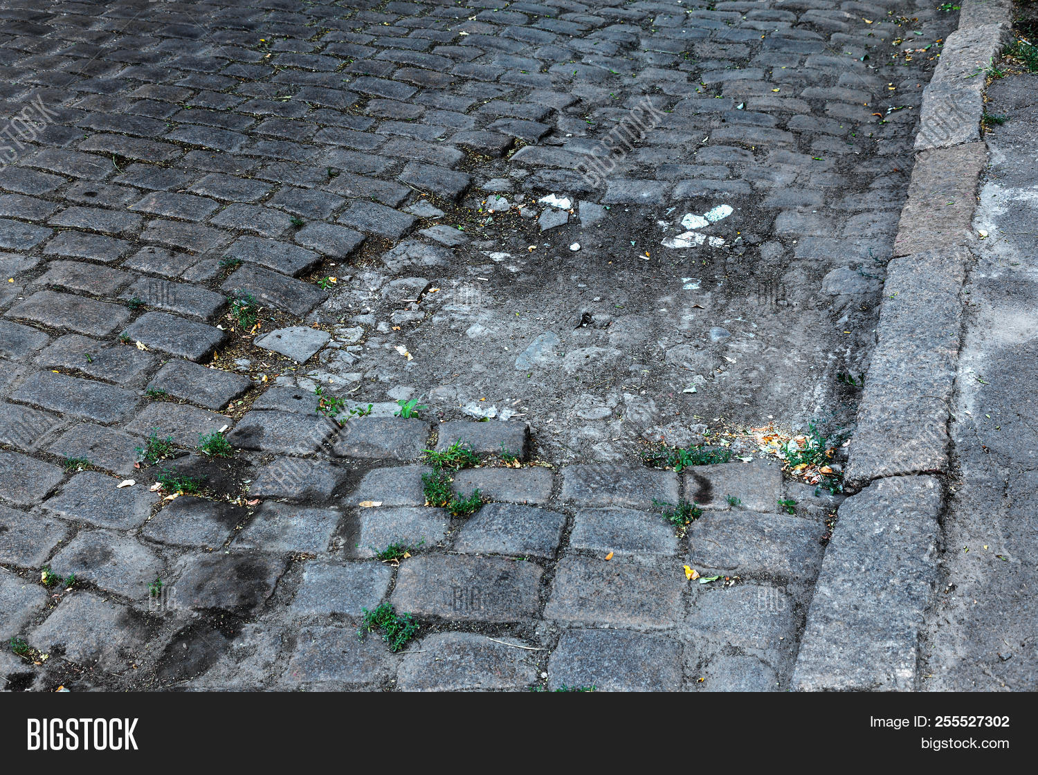 abstract,antique,architecture,asphalt,background,block,brick,broken,building,city,cobble,cobblestone,concrete,damaged,detail,floor,footpath,green,ground,grunge,line,material,old,outdoor,path,pattern,paved,pavement,paver,paving,potholes,rain,road,rough,shape,sidewalk,slab,square,stone,street,surface,texture,textured,tile,town,urban,view,vintage,walkway,white
