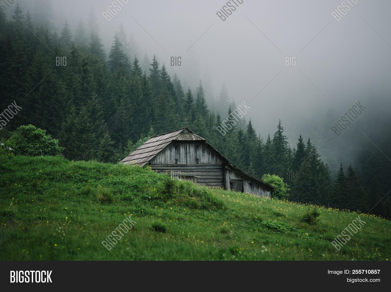alps,architecture,building,cabin,cloudscape,cottage,fog,forest,forsaken,grass,green,hill,house,hut,landscape,log,meadow,mountain,nature,non-urban,outdoors,overcast,rural,scene,sky,summer,tranquil,travel,valley,village,wood,wooden