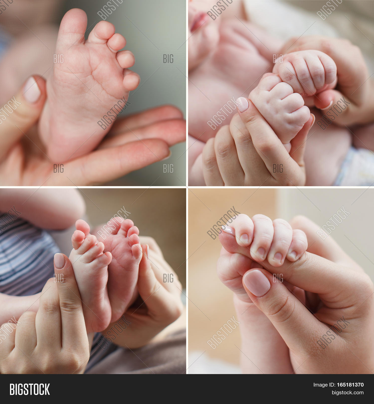 adult,affectionate,baby,boy,collage,beautiful,body,care,caring,hand,caucasian,child,childhood,closeup,concept,contact,daughter,family,finger,fond,gentle,girl,heart,hold,human,infant,innocence,kid,little,love,mother,newborn,palm,parent,part,people,skin,small,son,tenderness,tiny,trust,white,woman