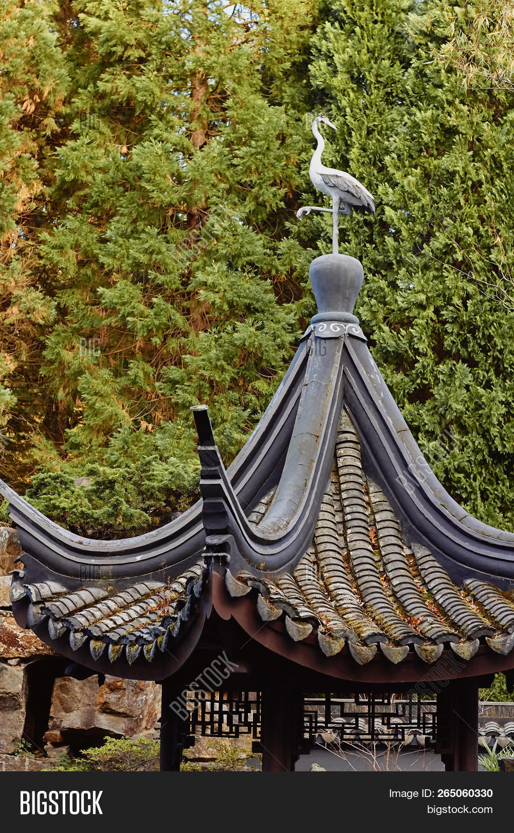 arbour,architecture,asia,asian,autumn,bird,buddha,buddhism,buddhist,building,crane,cultural,culture,exterior,facade,fall,forest,garden,green,heritage,house,japan,japanese,landscape,nature,oriental,outdoors,outside,pagoda,park,pavilion,pergola,plant,religion,roof,scenery,sculpture,shelter,statue,statuette,stone,temple,tradition,traditional,travel,tree,white,yellow,zen