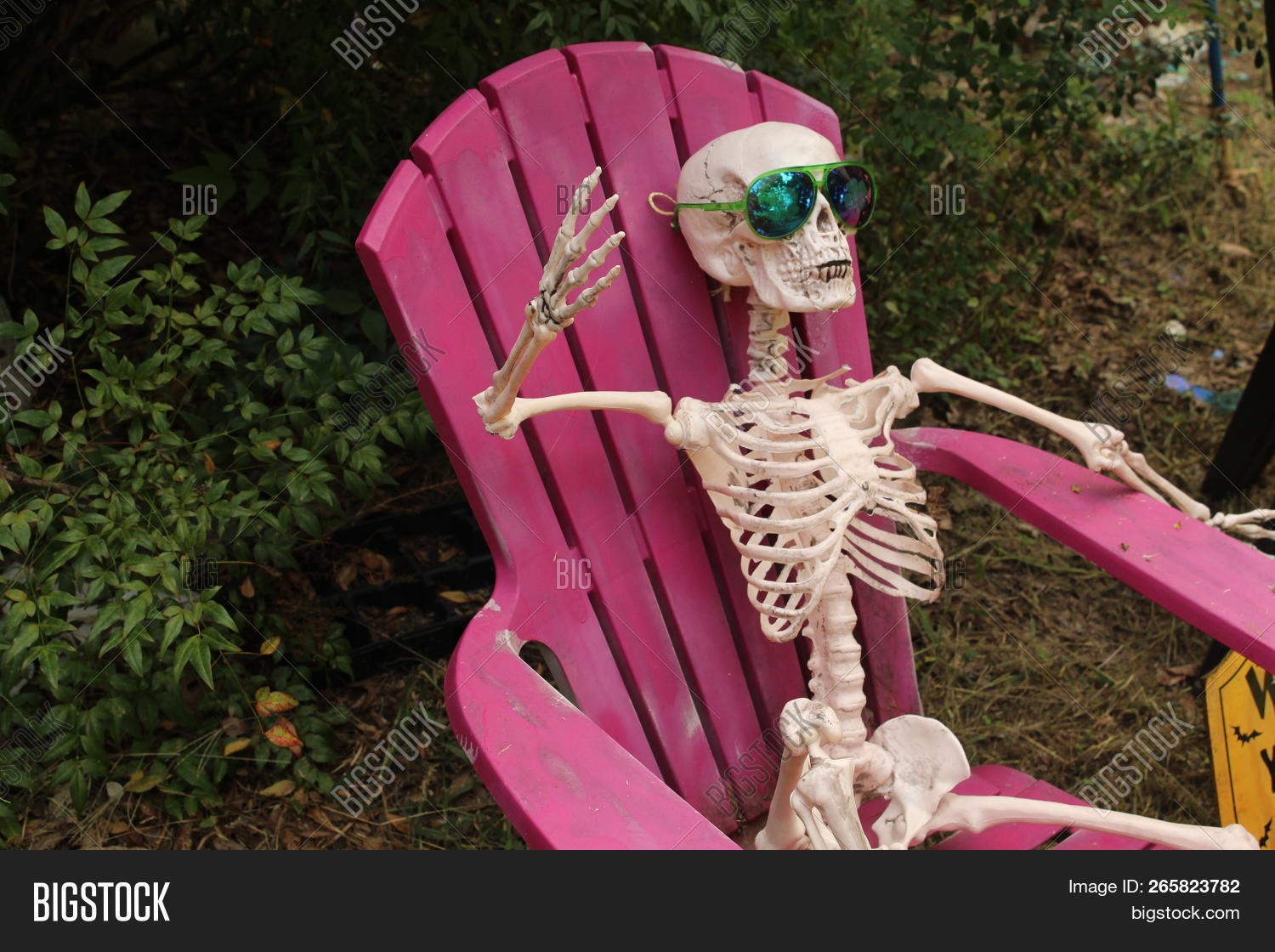 Halloween,October,action,active,bone,chair,chill,chilling,cool,day,decoration,decorative,frontal,fun,funny,gesture,humor,lawn,motion,object,out,outdoors,outside,party,pink,shade,sitting,skull,spooky,stylized,sunglasses,sunny,wave,waving