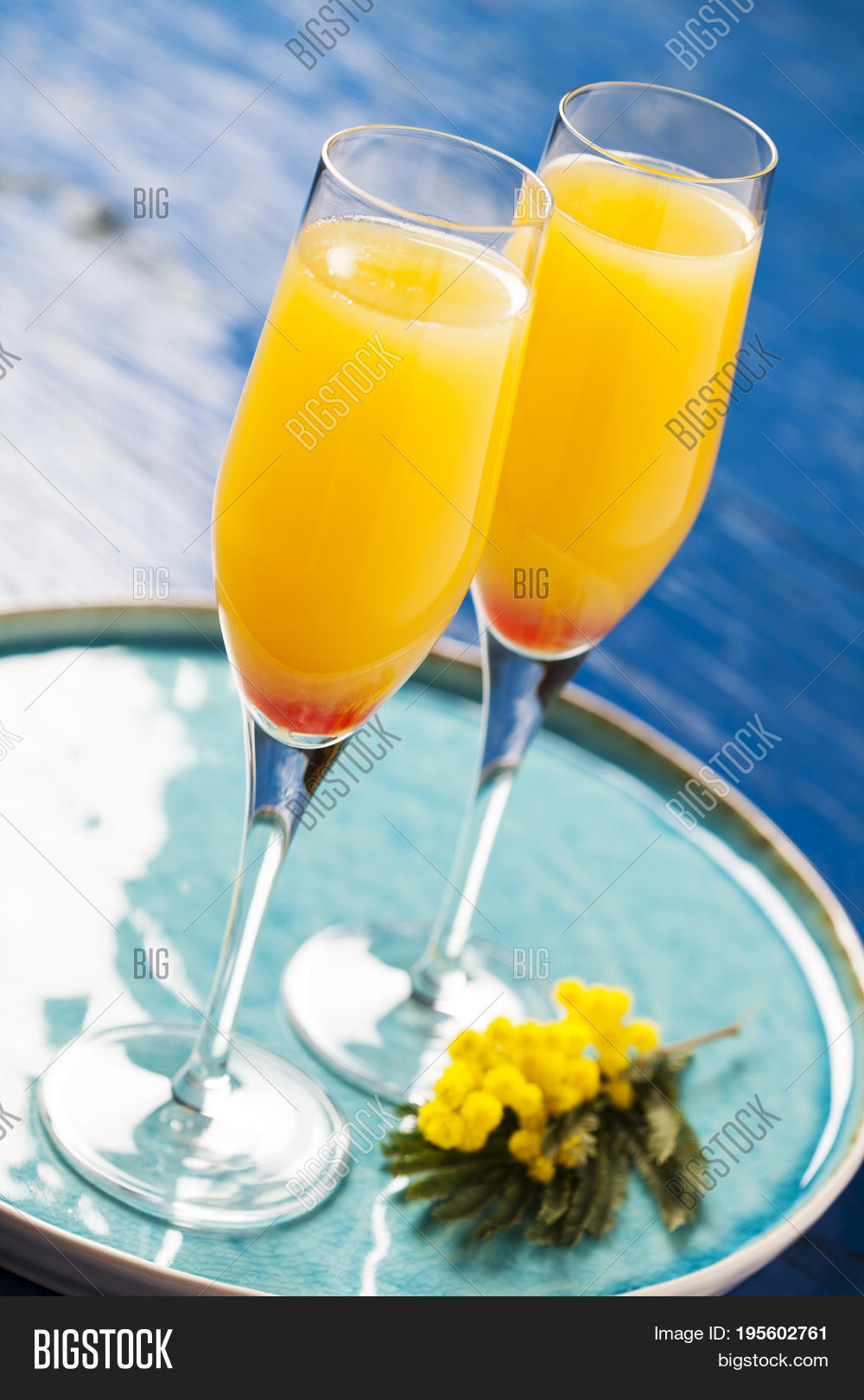 Silver,acacia,alcohol,aperitif,beverage,blue,cava,champagne,cocktail,crystal,dealbata,delicious,drink,feast,february,flower,glass,juice,mimosa,orange,refreshment,romantic,soirée,sparkling,tasty,turquoise,valentine,wattle,wine,yellow
