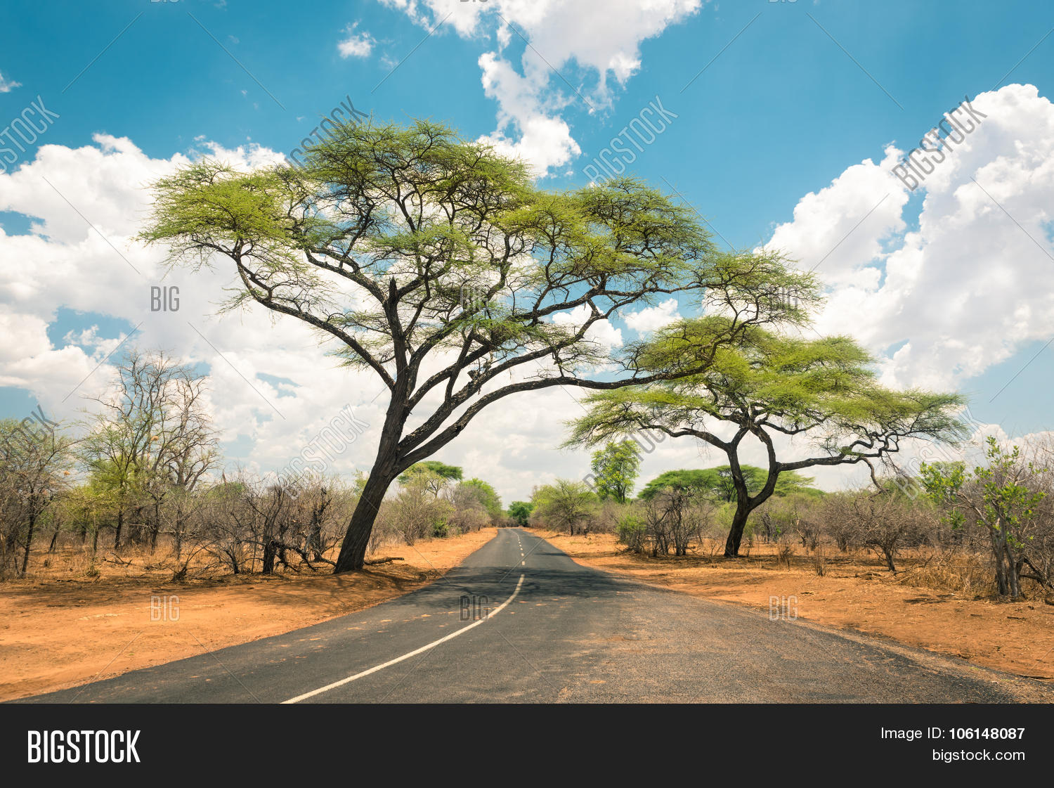 acacia,adventure,adventurous,africa,african,background,beautiful,blue,botswana,bush,bushveld,chobe,day,desert,destination,dr,drive,exclusive,excursion,hwange,kazungula,kenya,kruger,land,landscape,light,nairobi,namibia,national,natural,nature,panorama,park,plains,postcard,red,road,roadside,safari,savannah,scenic,serengeti,silhouette,sky,south,spectacular,street,sunny,territory,tranquil,travel,tree,trip,wild,wildlife,zambezi,zimbabwe