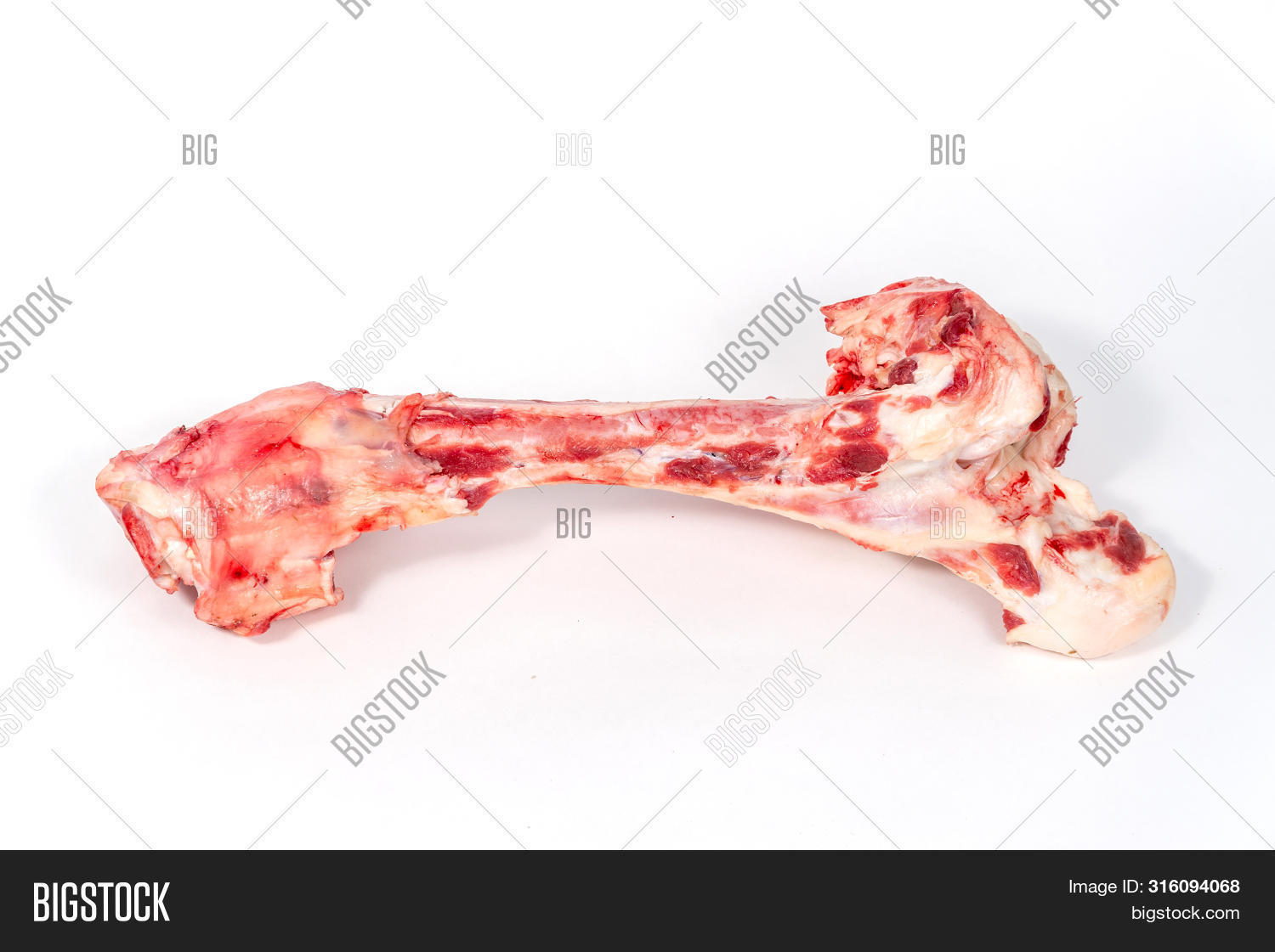 Raw Big Beef Bone For The Dog. Isolated On White Background. Food For