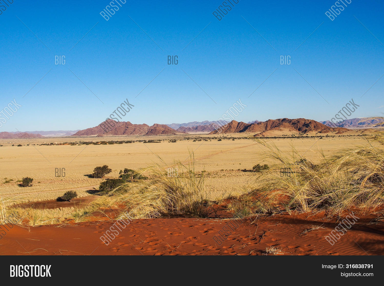 Amazing View Of The Dunes Sossusvlei. Namib Naukluft National Park ...